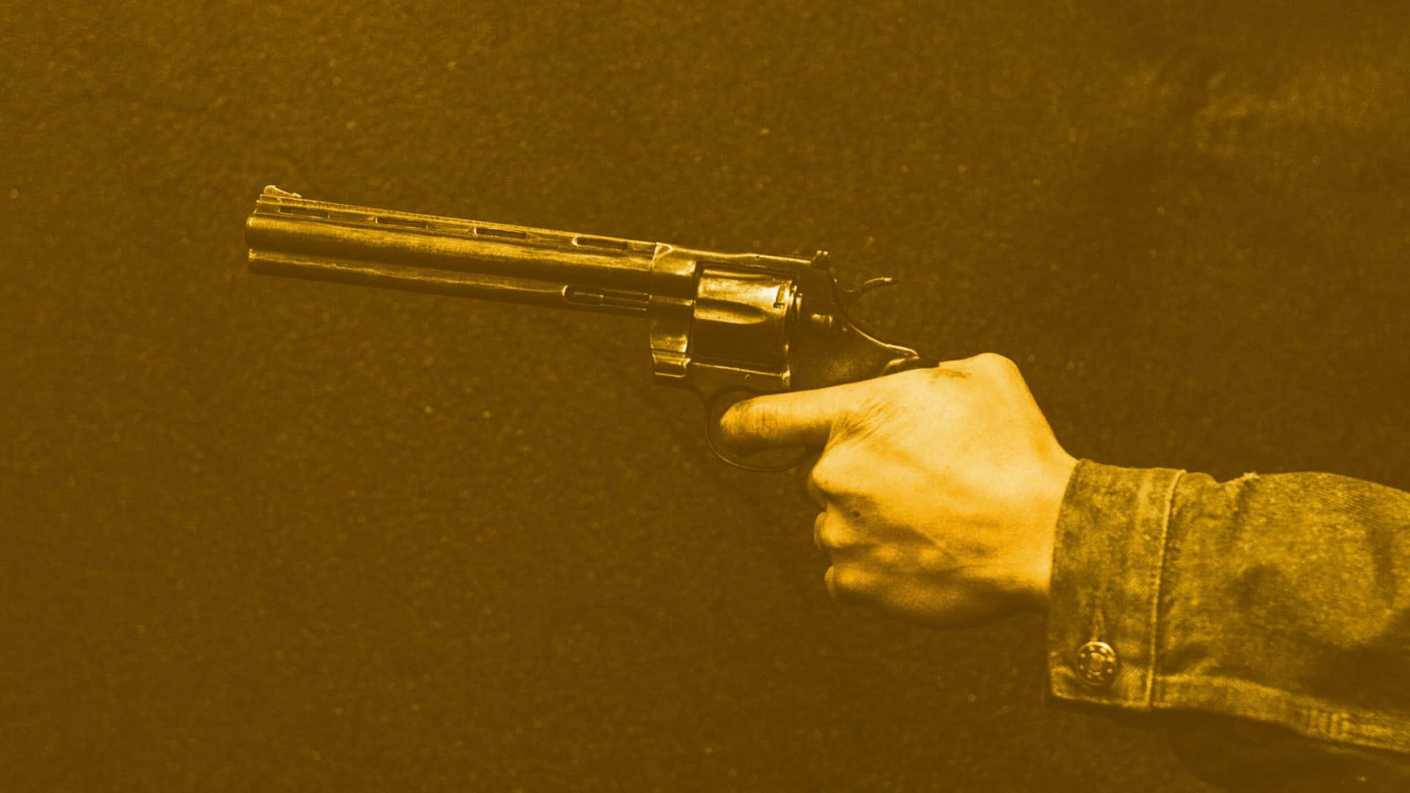 Gun in a tactical black sheath. — 2048x1152 wallpaper