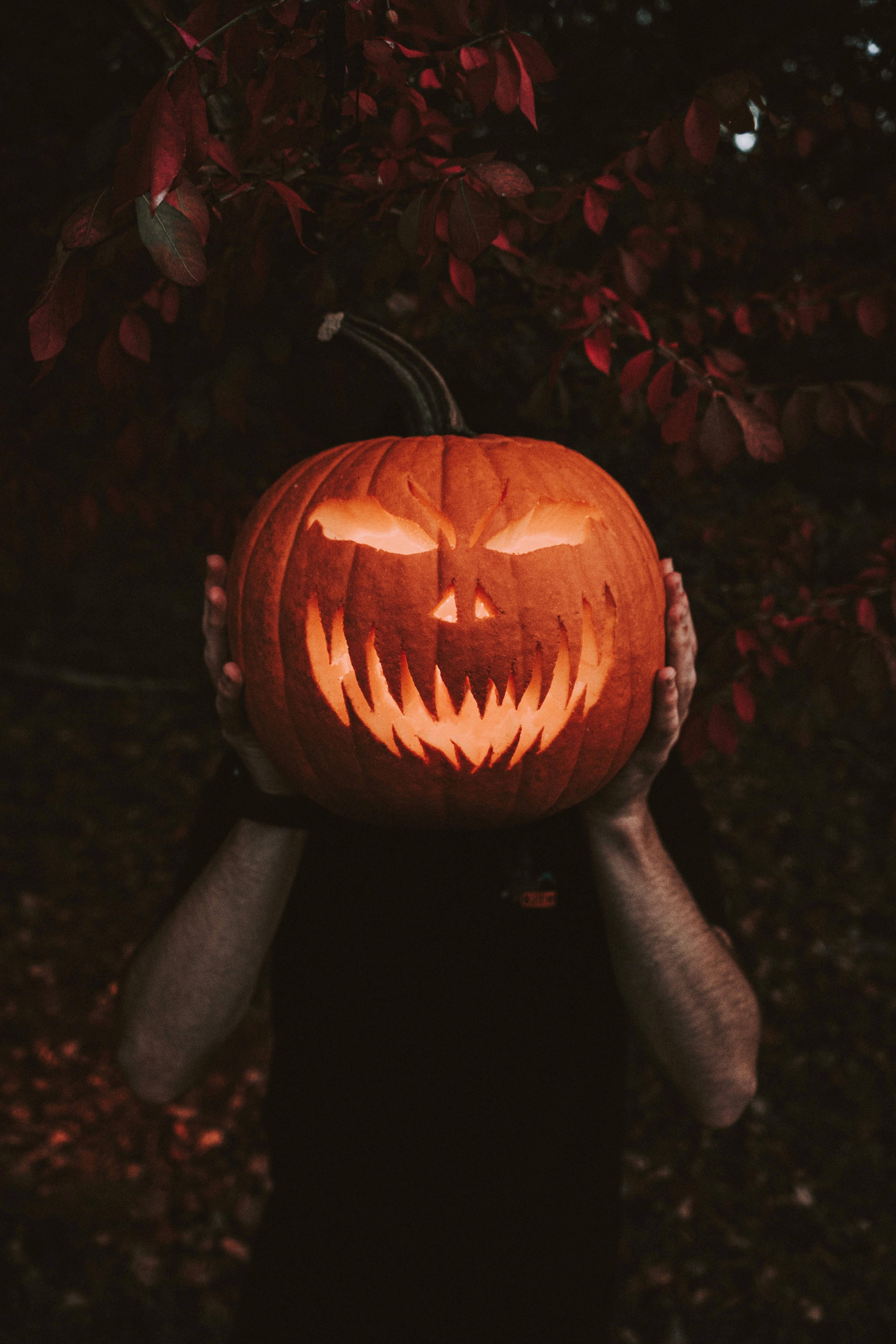 Halloween Pumpkin Cell Phone Image — 4000x6000 wallpaper