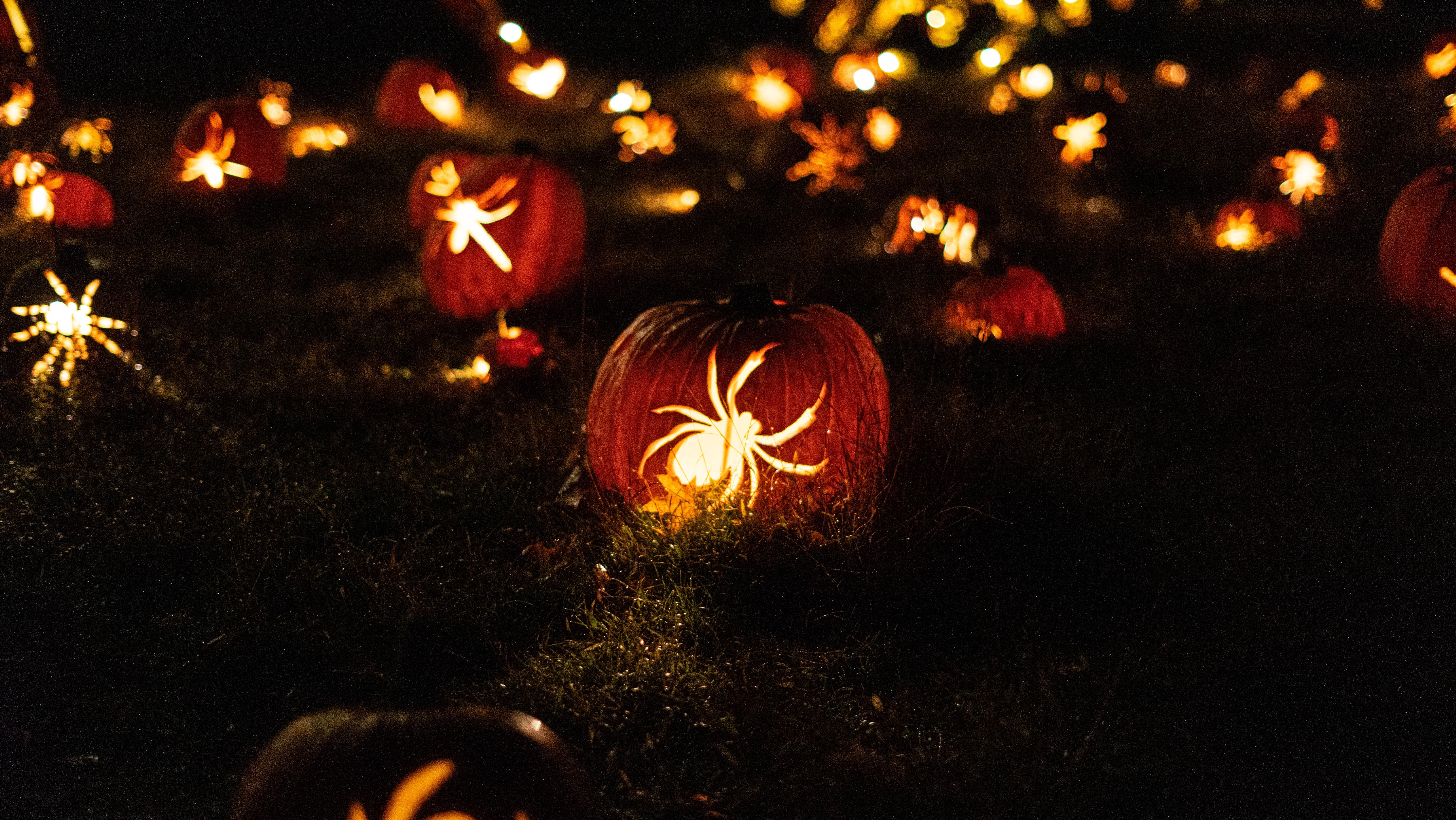 Halloween Pumpkin Lantern Spiders — 7360x4144 wallpaper