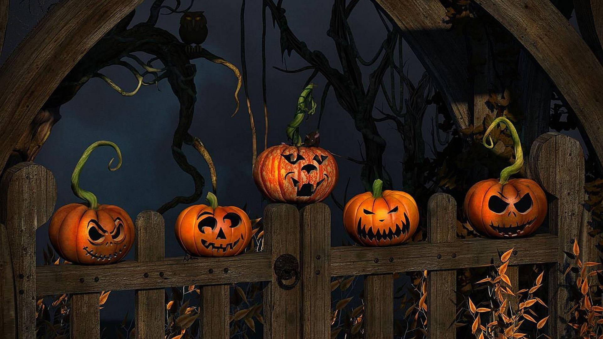 Halloween Pumpkins On Fence — 1920x1080 wallpaper