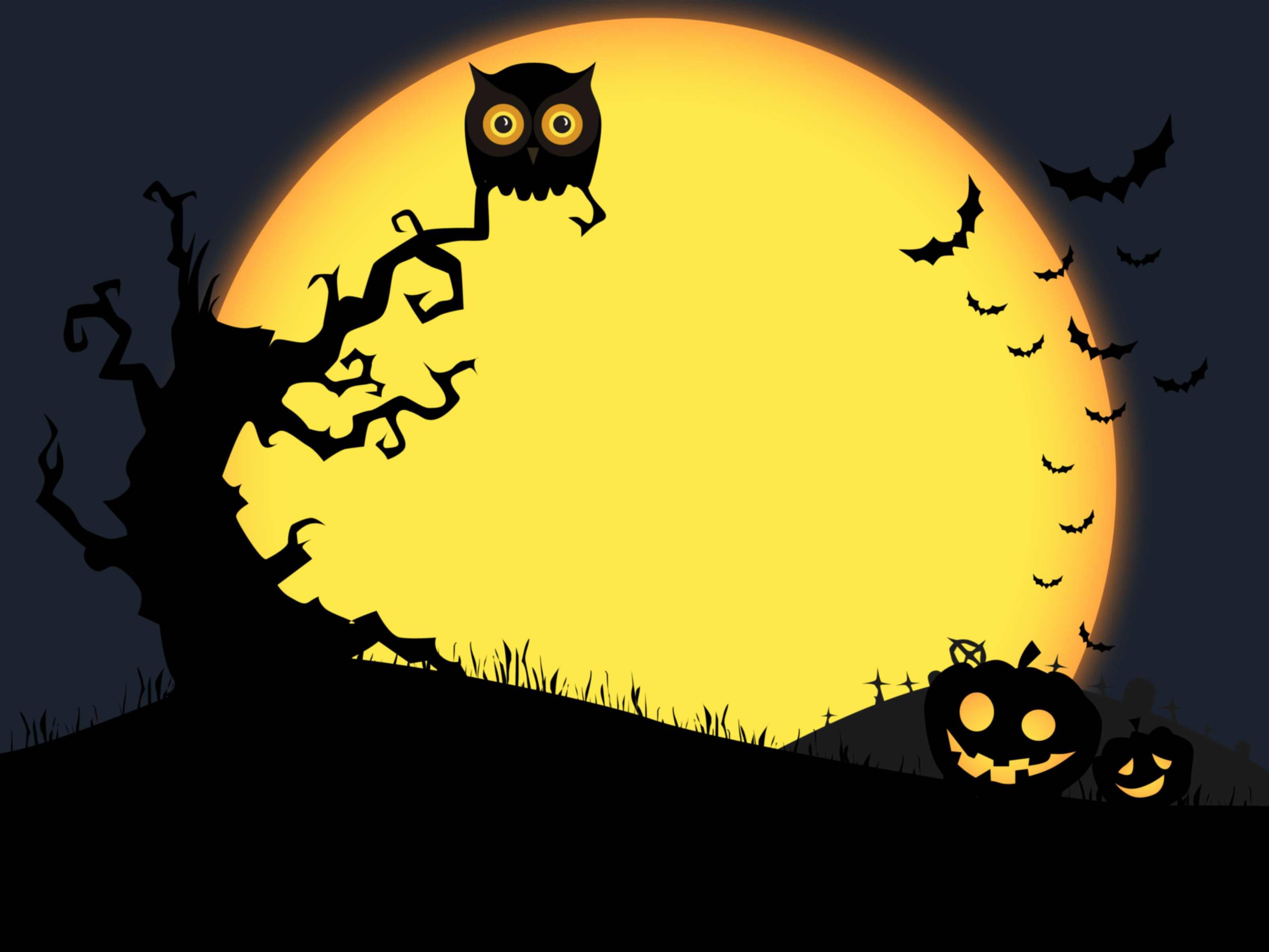 Halloween Yellow Moon Owl — 3200x2400 wallpaper