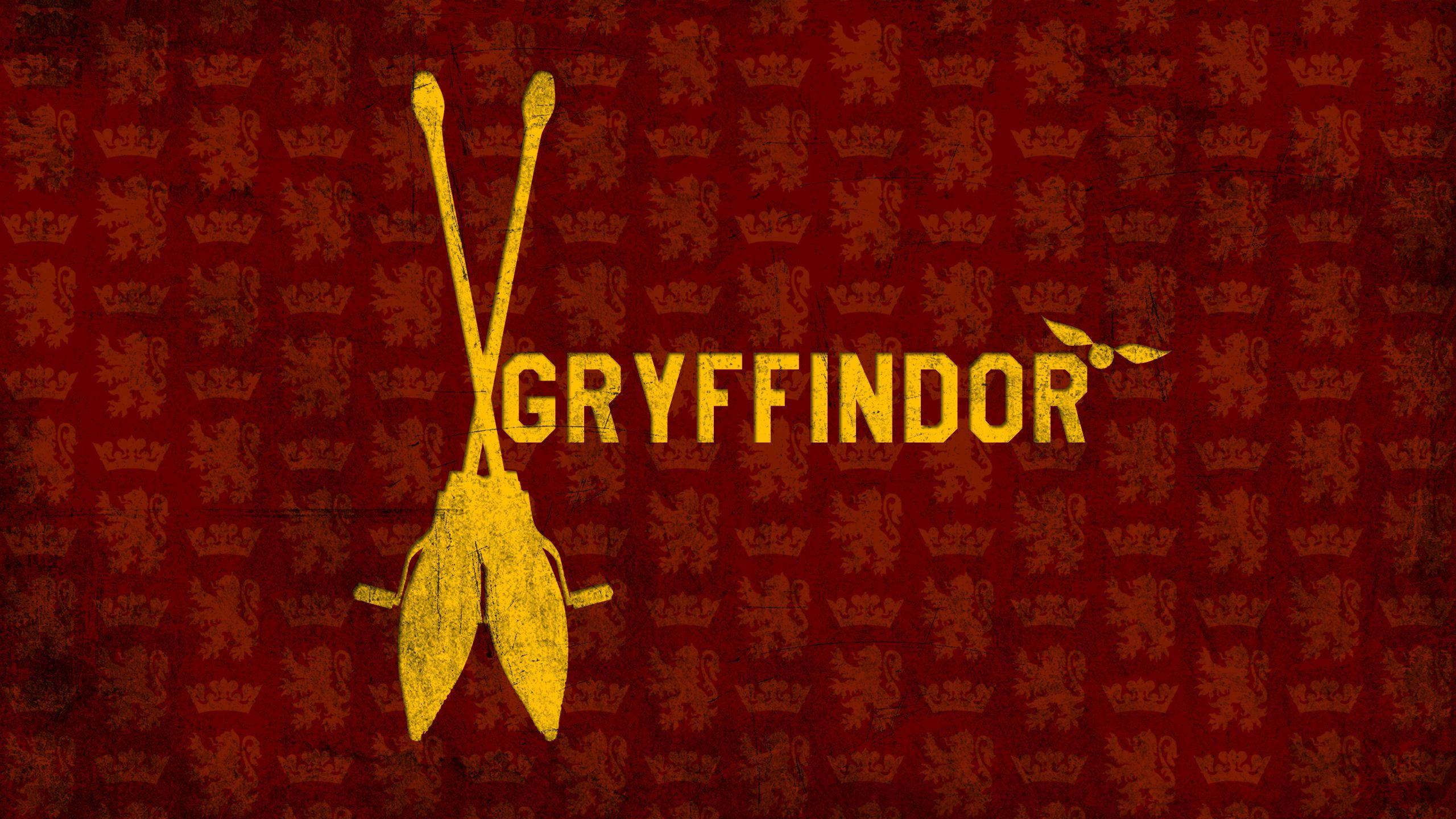 Harry Potter champions of Quidditch, the Gryffindor team — 2560x1440 wallpaper
