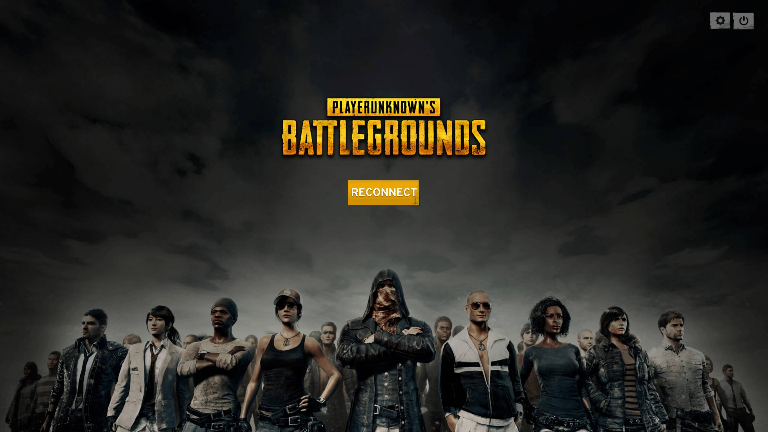 HD Aesthetic Logo And Characters Pubg — 2560x1440 wallpaper