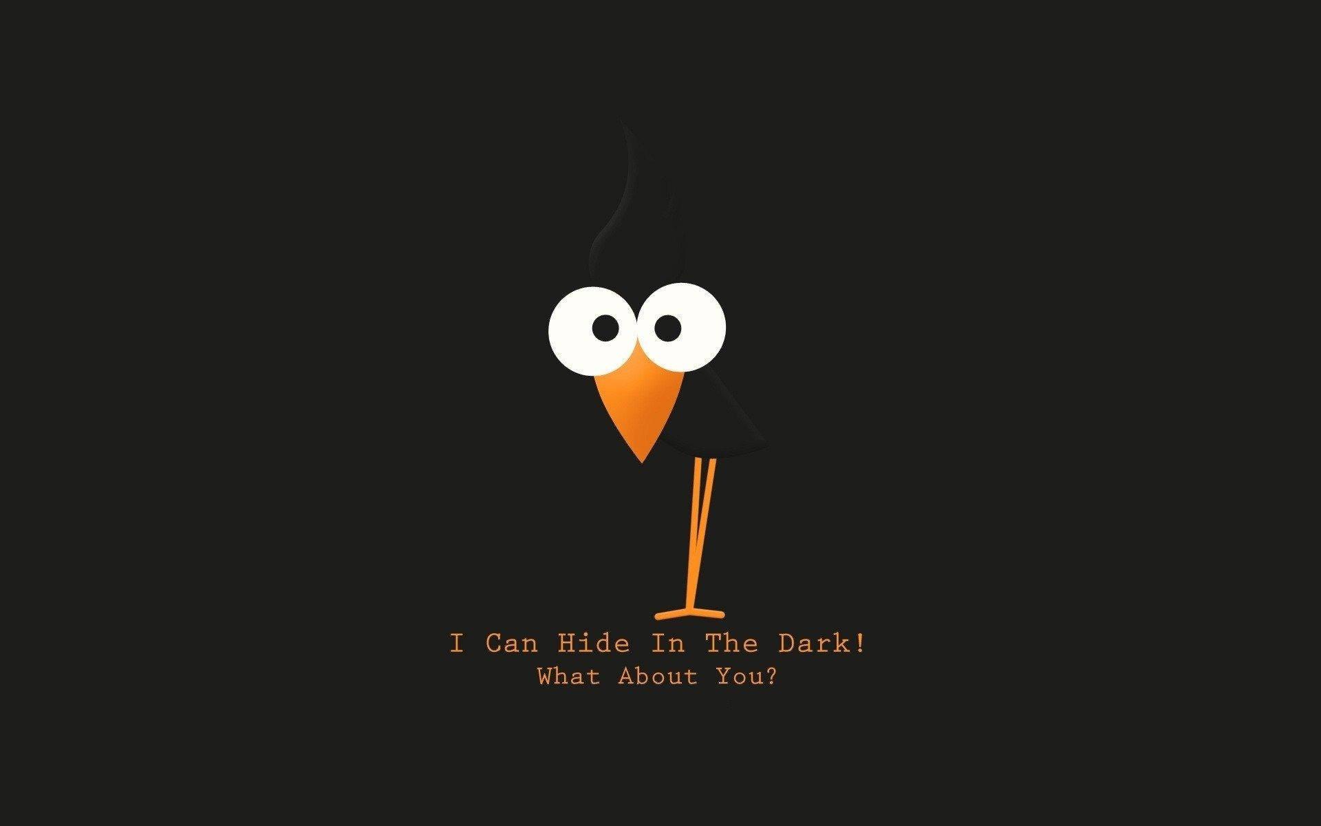 HD Funny Black Bird — 1920x1200 wallpaper