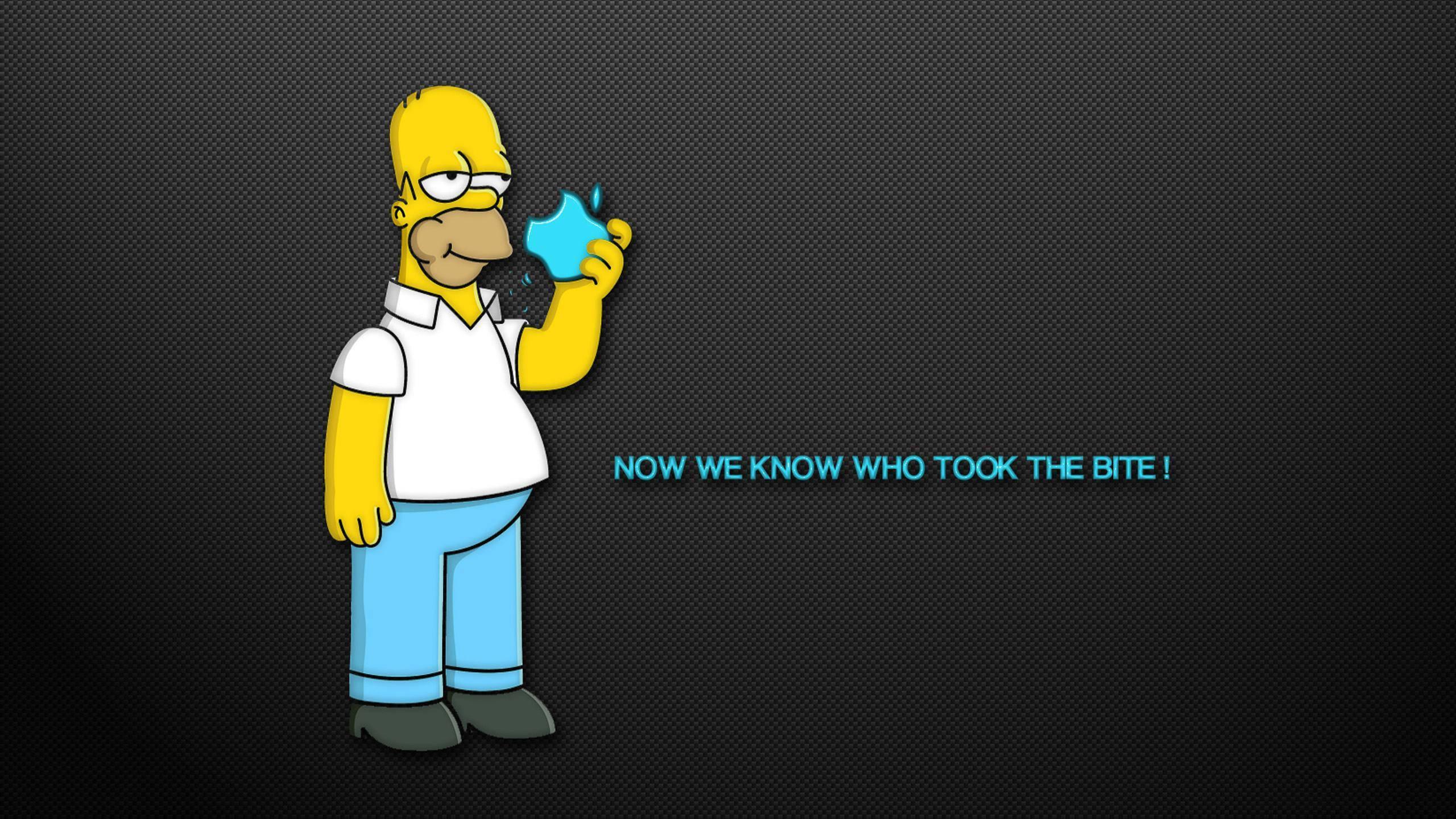 HD Funny Homer Simpson — 2560x1440 wallpaper