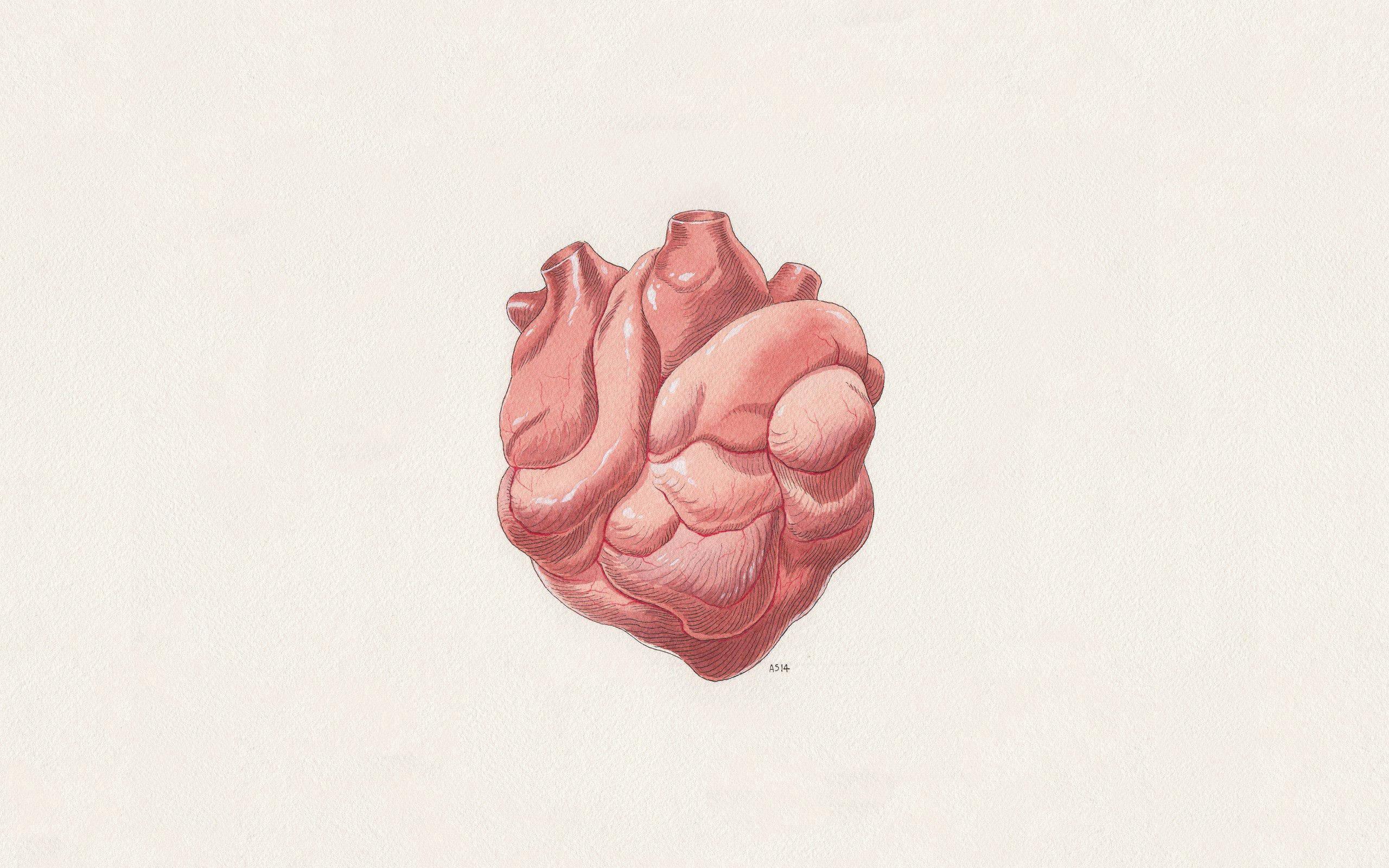 Heart Digital Vector Art — 2560x1600 wallpaper