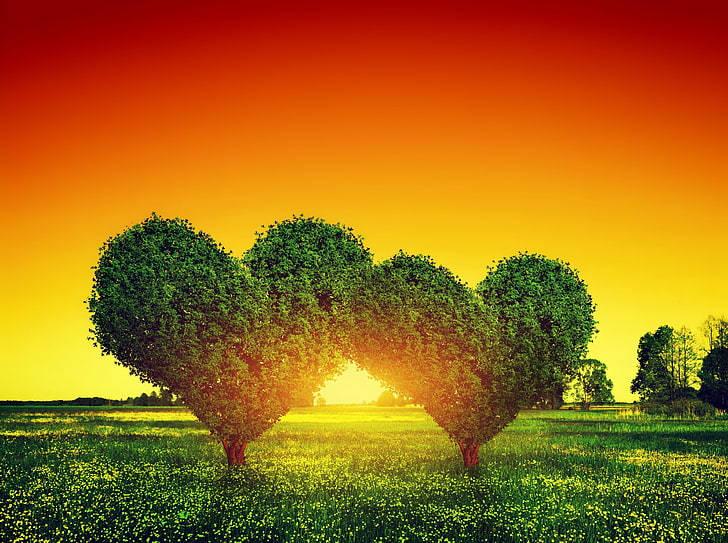 Heart Trees Full Desktop Screen Hd — 728x543 wallpaper