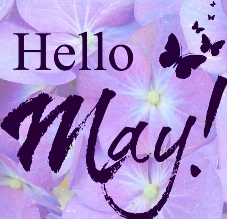 hello may greeting card — 932x900 wallpaper