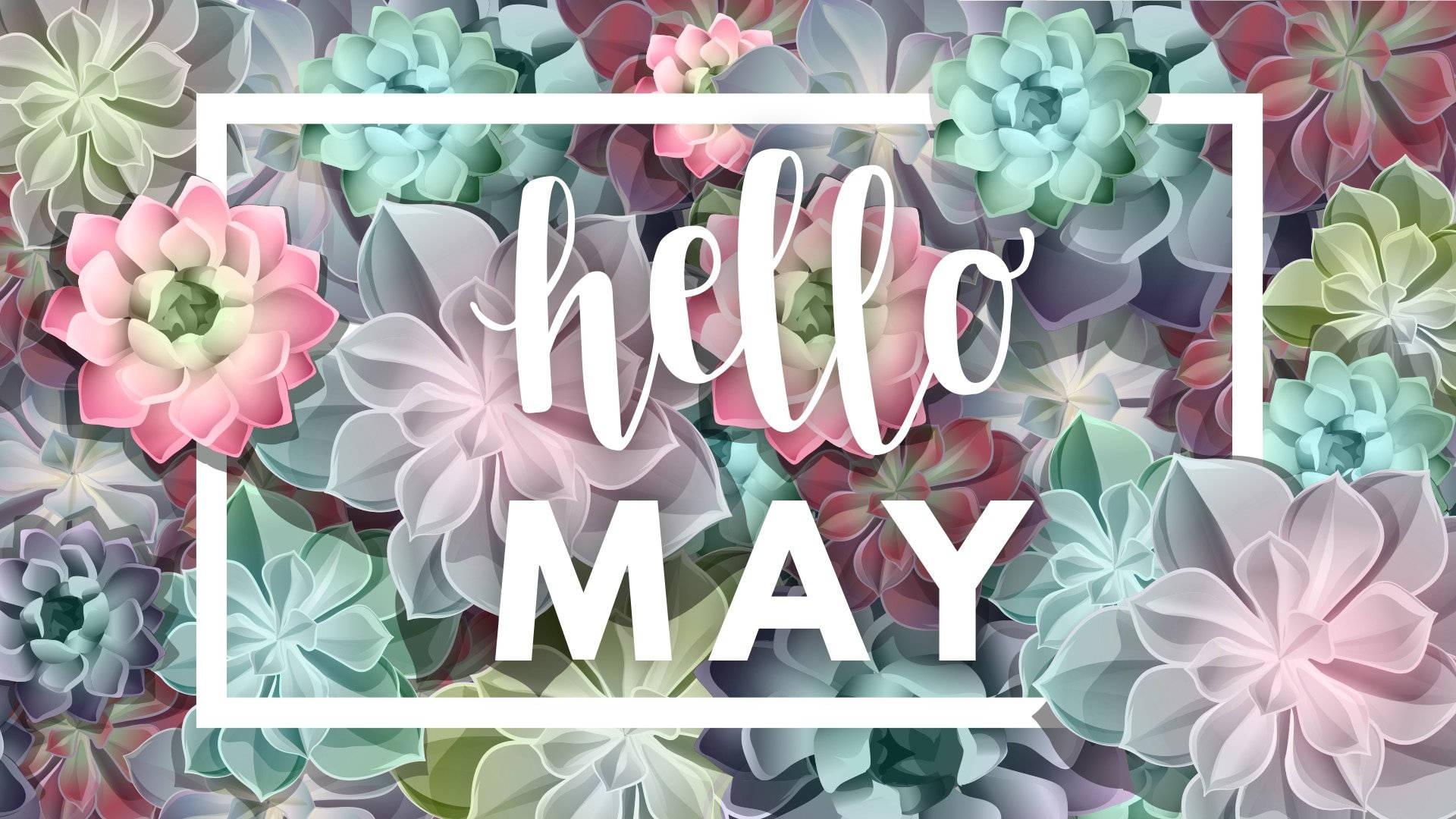 Hello to a Fresh Start: May and its Favorable Succulents — 1920x1080 wallpaper