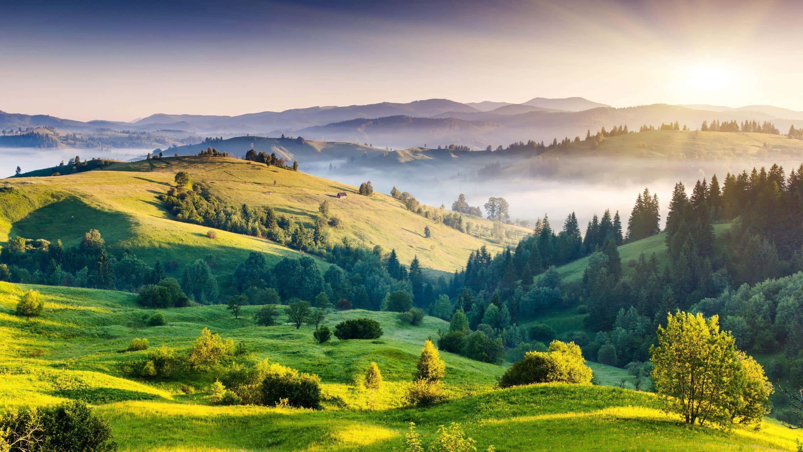 High-Definition 1440P Wallpaper — 2560x1440 wallpaper