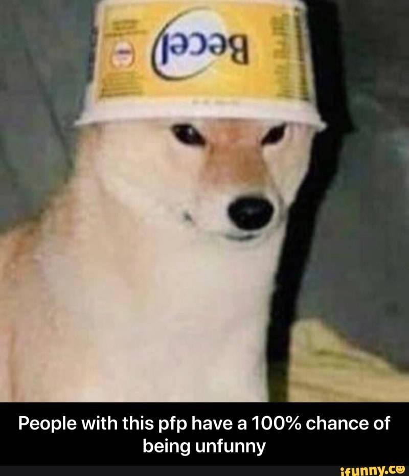 Hilarious Canine Antics — 800x931 wallpaper