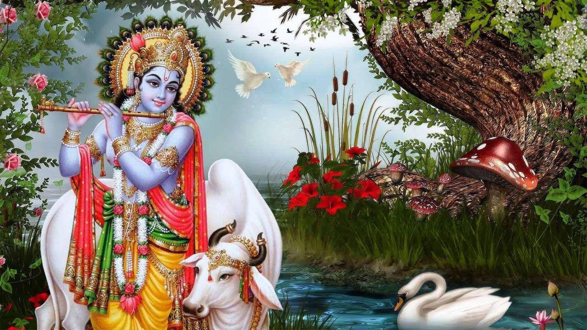 Hindu God Lord Krishna — 1920x1080 wallpaper