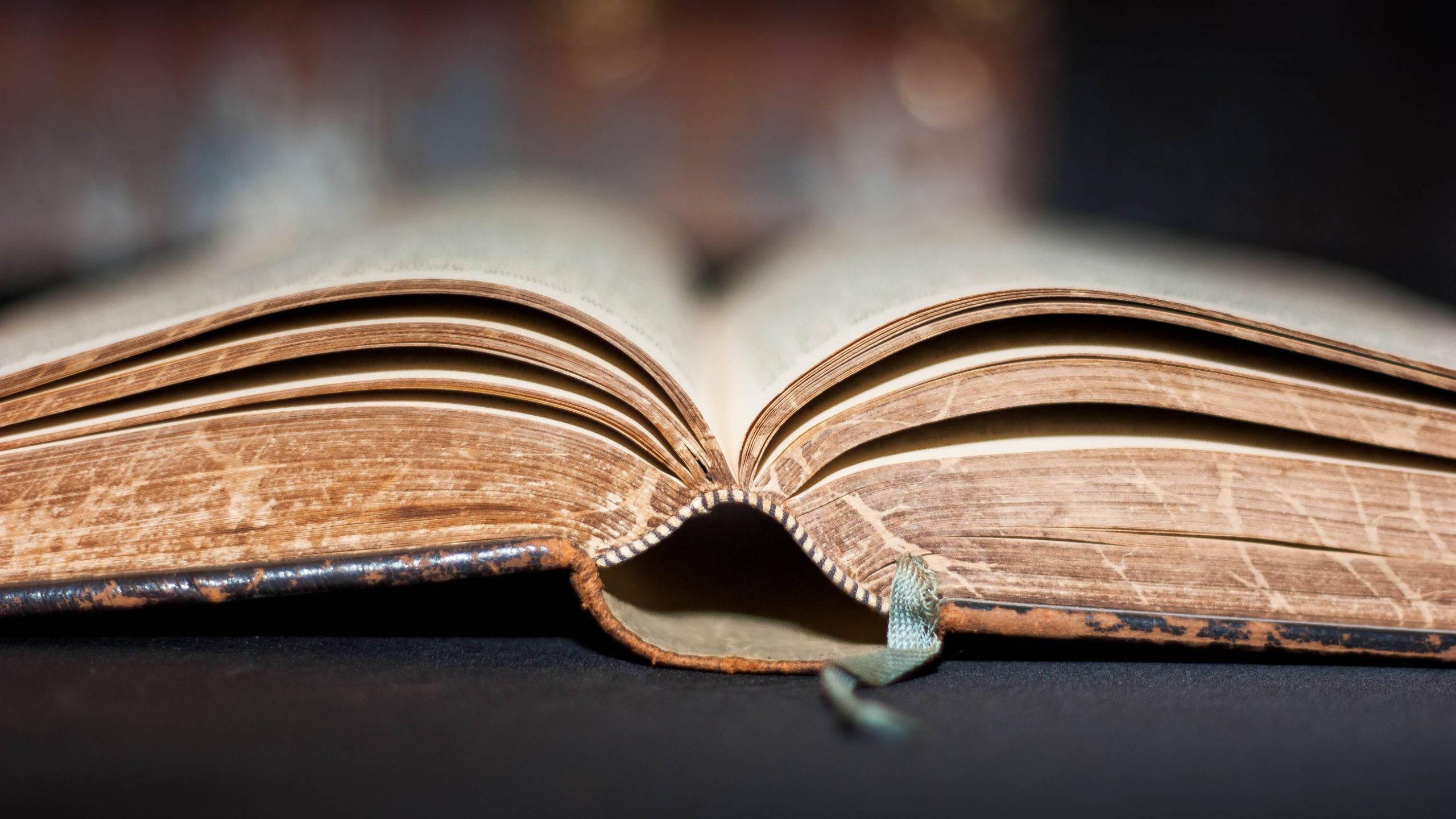 Holy Bible Book Spine — 2560x1440 wallpaper