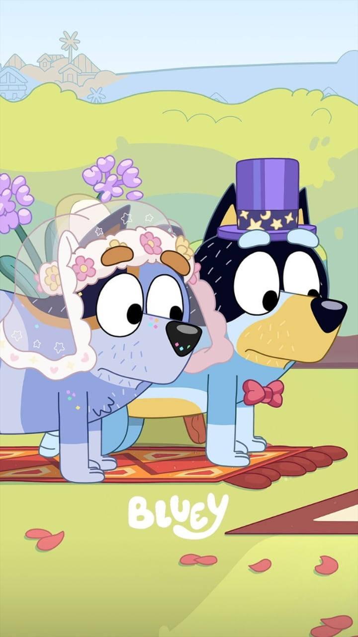 Horsey Wedding Episode Of Bluey — 720x1280 wallpaper