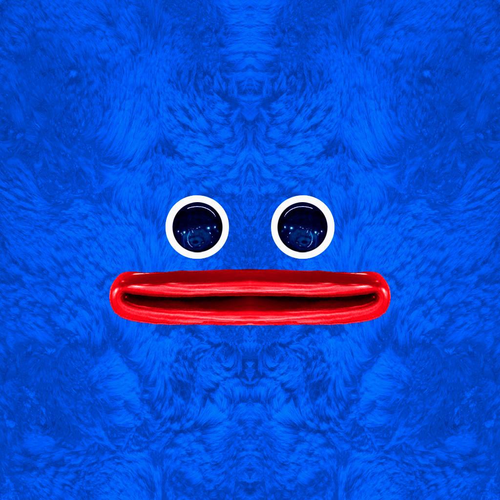 Huggy Wuggy Blue-Furred Face — 1024x1024 wallpaper