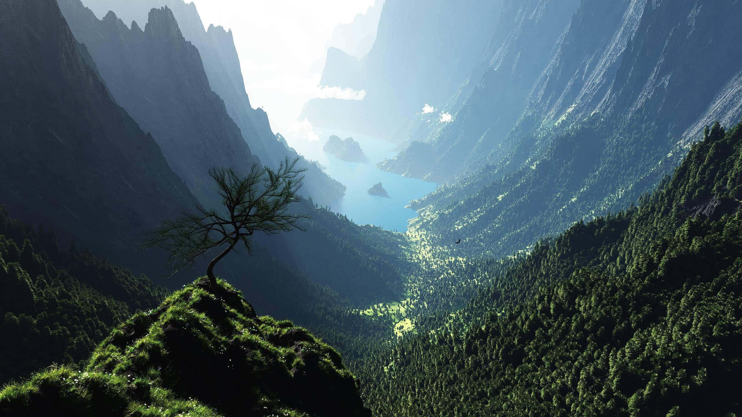 Image 1440P Life – Unlock the Clarity — 2560x1440 wallpaper