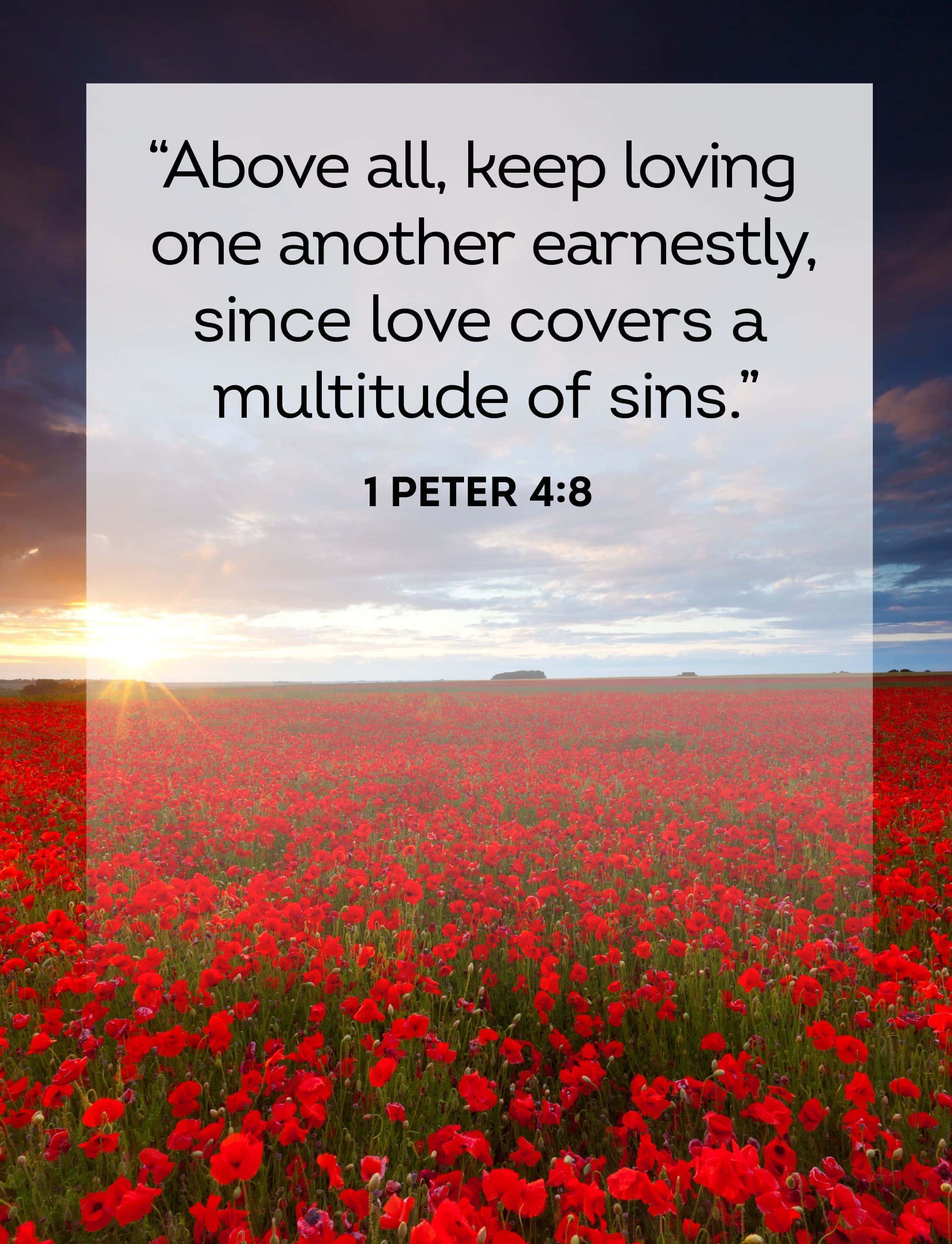 Image Aesthetic Bible Verse — 2068x2701 wallpaper