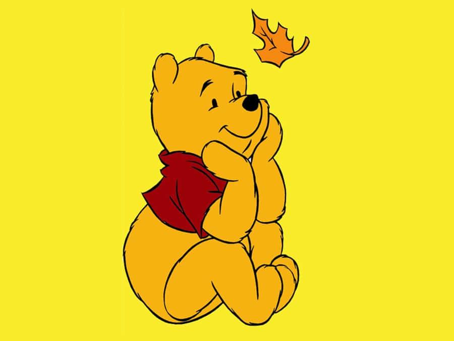 Image Classic Winnie The Pooh invites you to join him in the Hundred Acre Wood! — 900x675 wallpaper