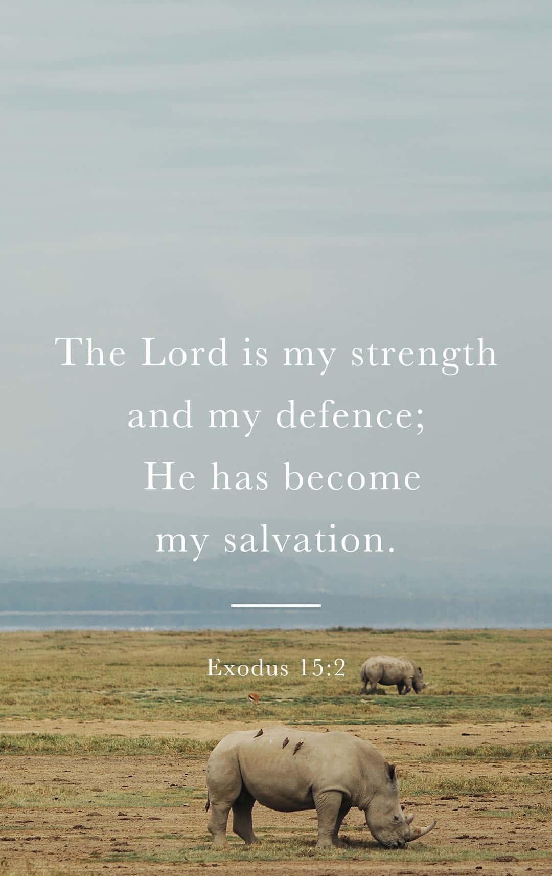 Image “Download Bible Verse Phone Wallpaper Now” — 1080x1712 wallpaper