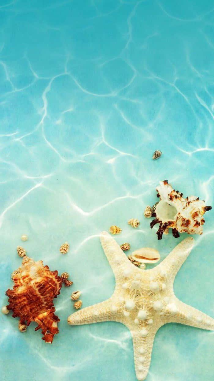 Image 'Soaking in the Summer Sun' — 700x1244 wallpaper