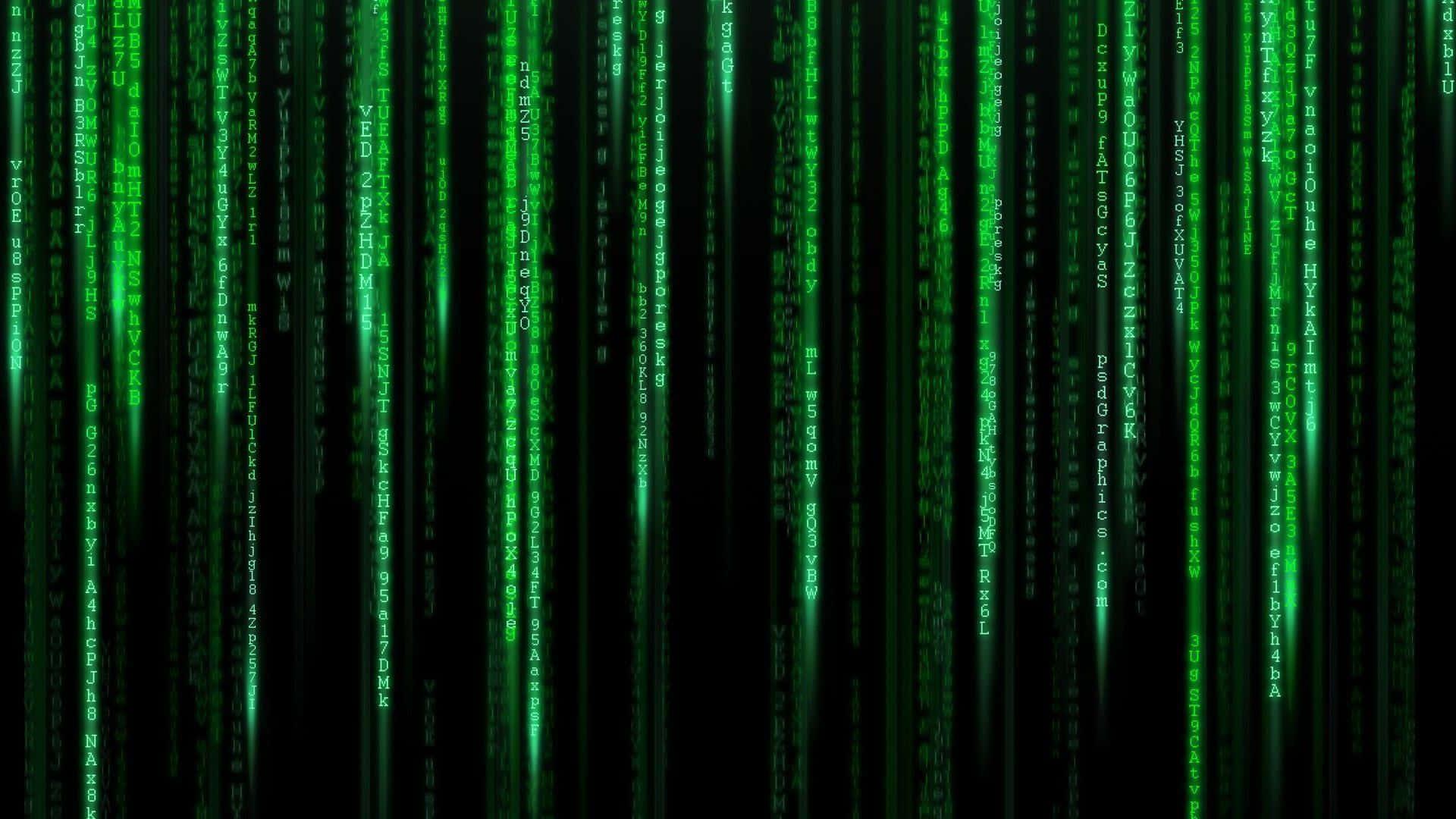 Image The Matrix Encrypted Reality — 1920x1080 wallpaper