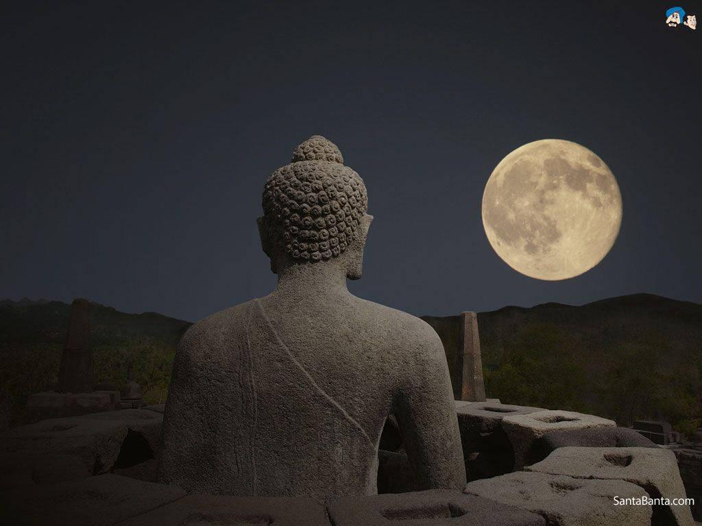 In the still of night, find solace in the Buddah's teachings — 1024x768 wallpaper