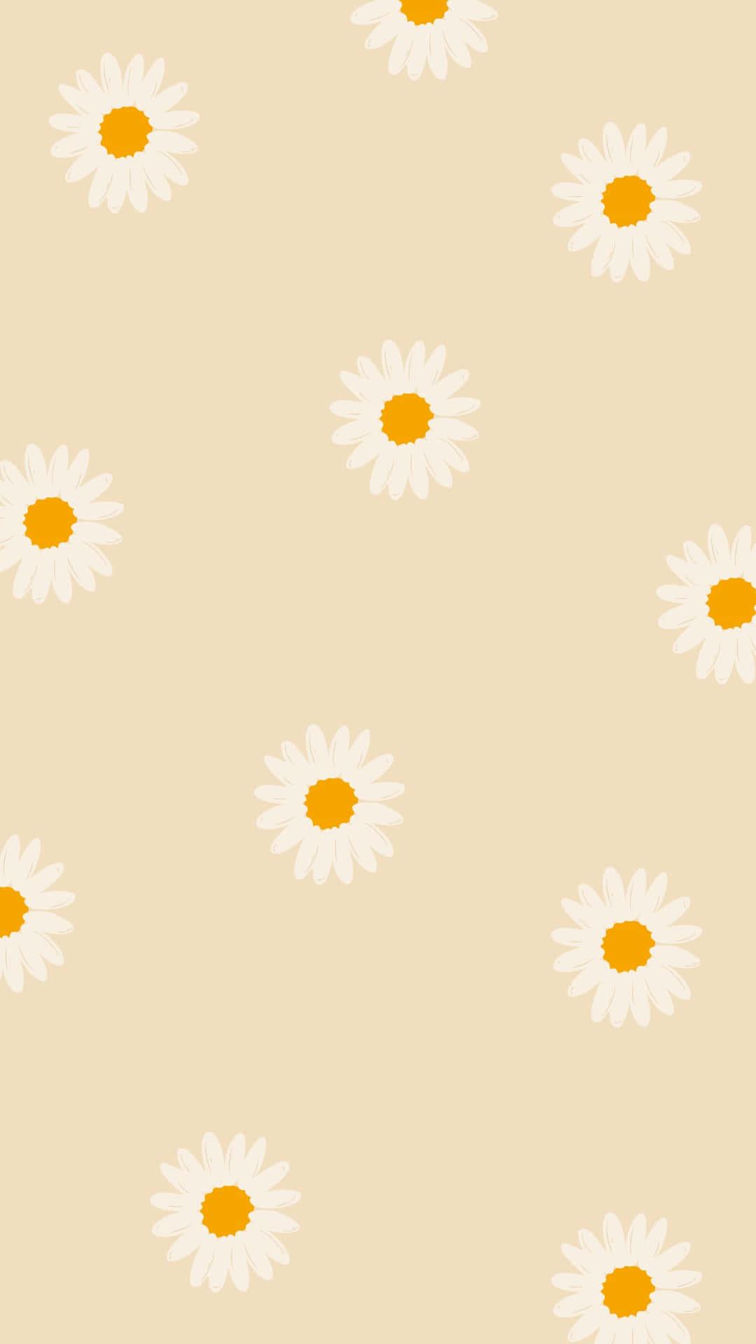 Iphone Aesthetic Background — 1080x1920 wallpaper