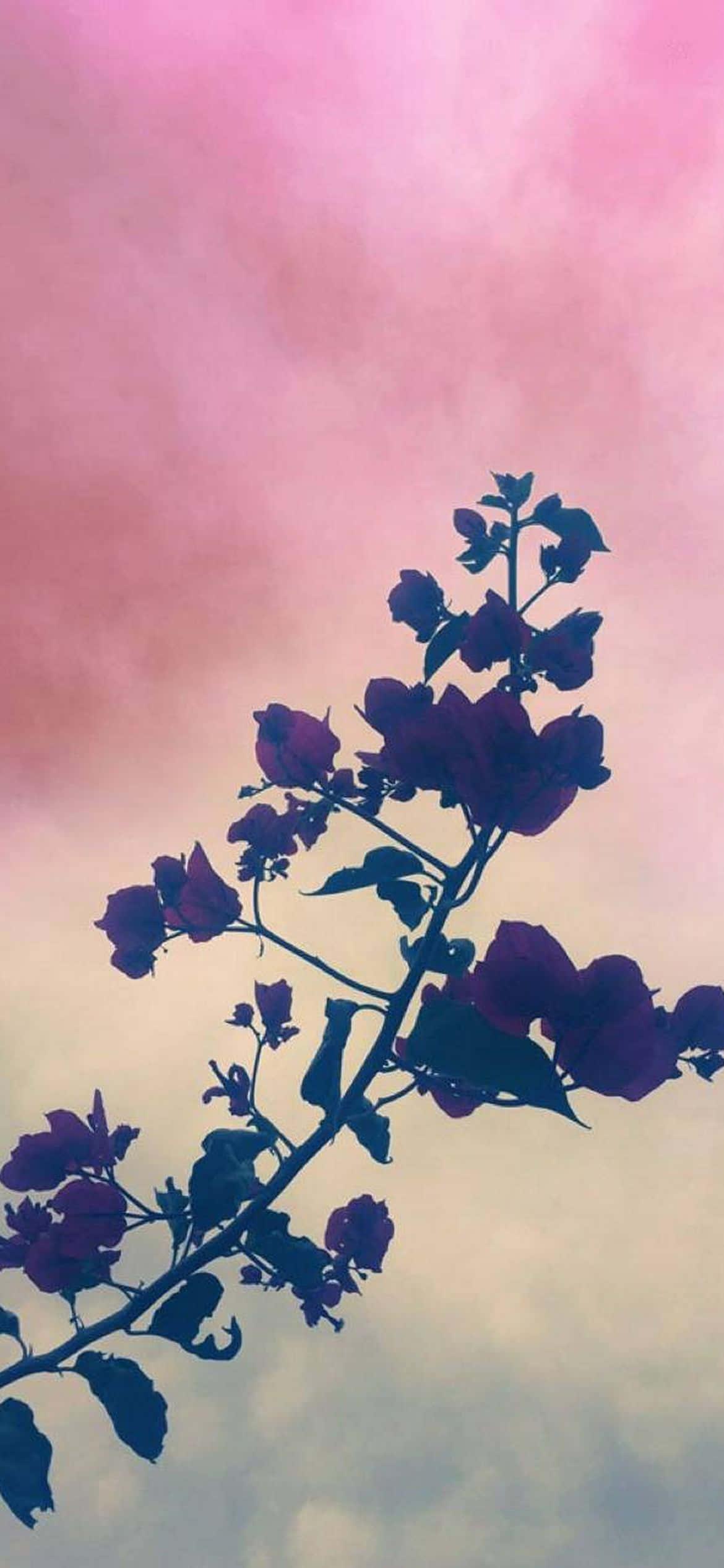Iphone Aesthetic Background — 1170x2532 wallpaper