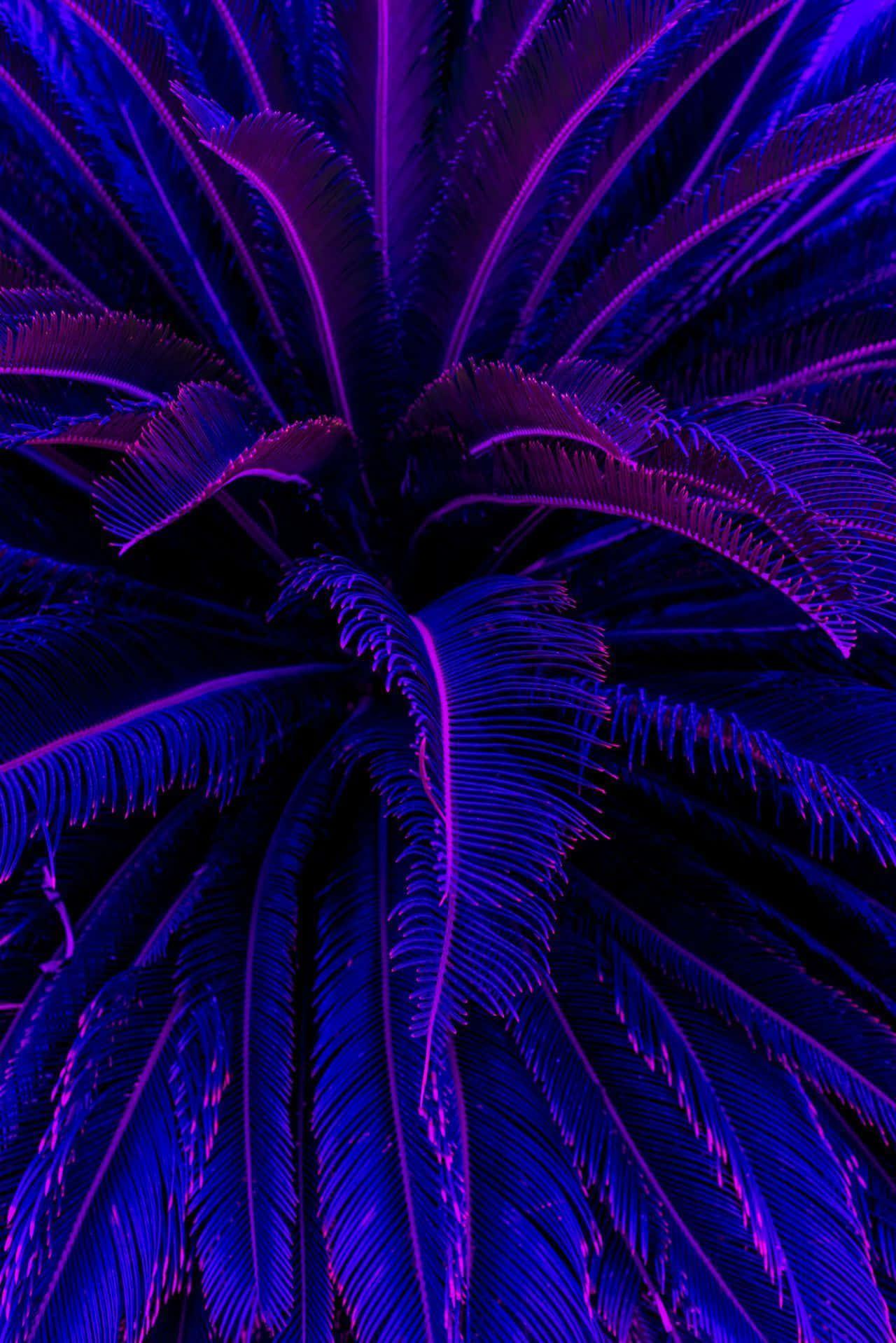 Iphone Aesthetic Background — 1280x1918 wallpaper