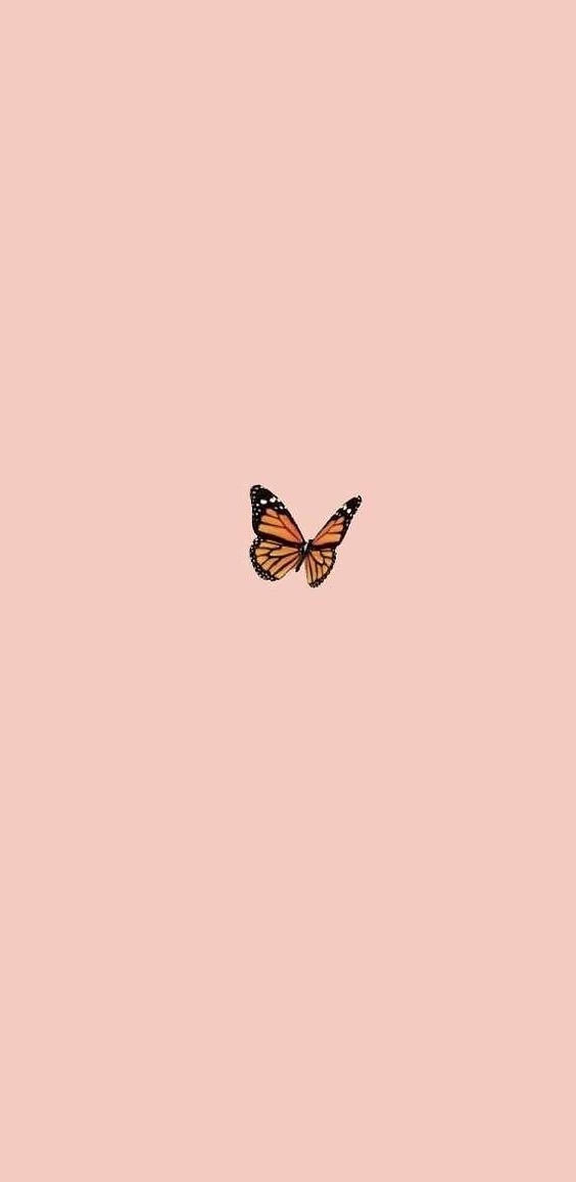Iphone Aesthetic Butterfly — 1128x2314 wallpaper