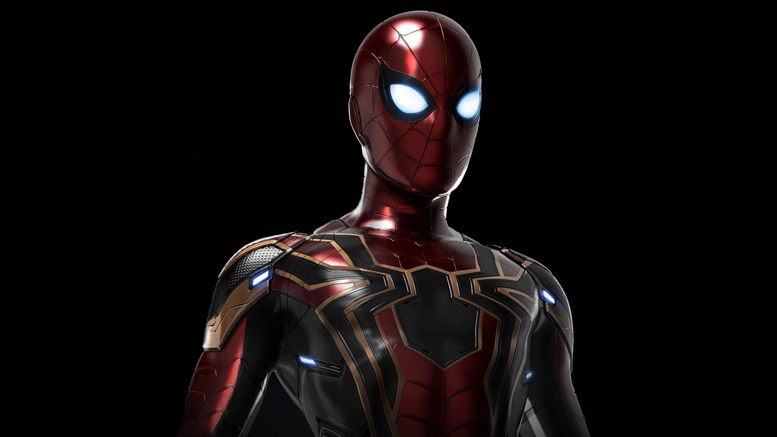 Iron Spiderman in Black