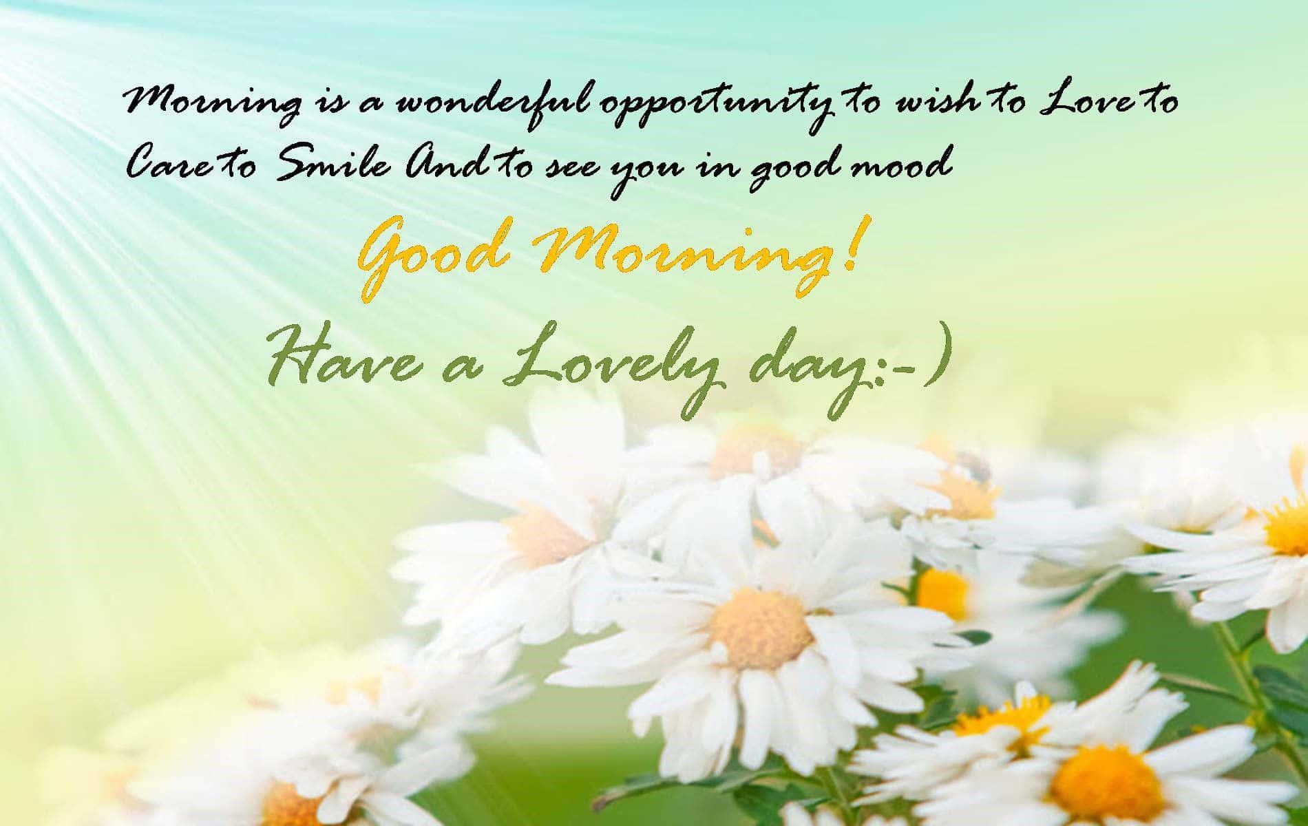 It’s a beautiful morning! — 1900x1200 wallpaper