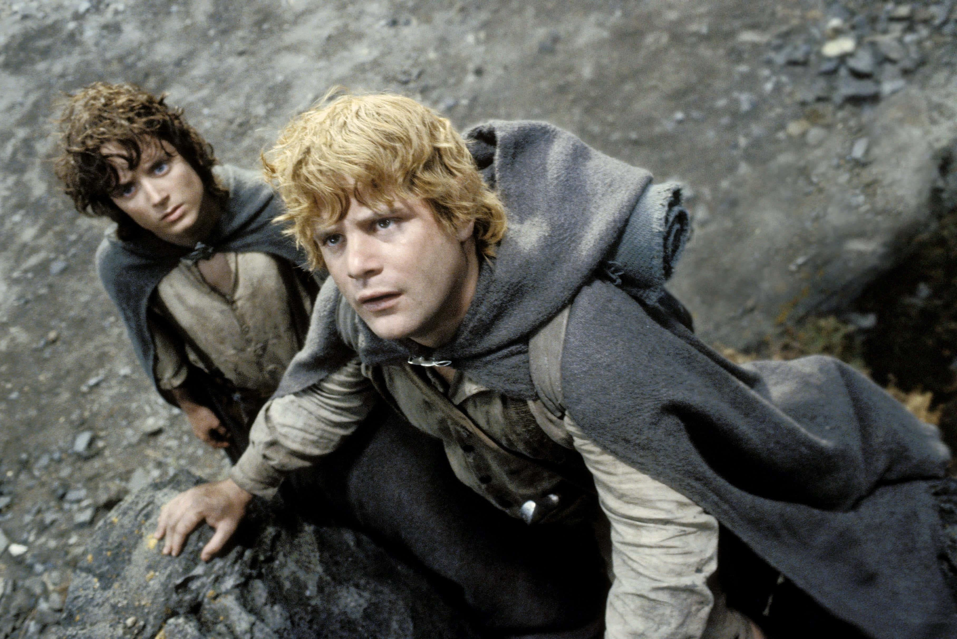 Join Frodo and his Fellowship on their journey to destroy the One Ring! — 3630x2427 wallpaper