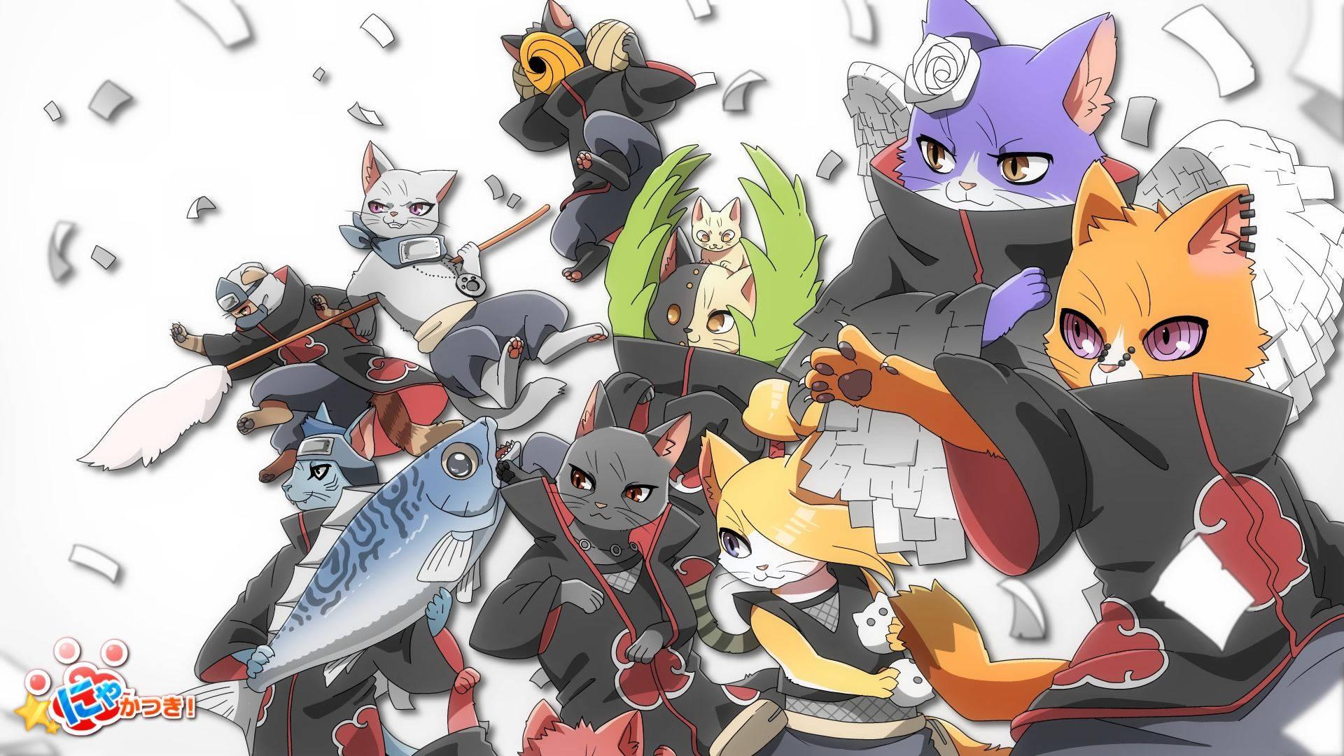 Join the Akatsuki and unleash your cat's deadly power — 1920x1080 wallpaper