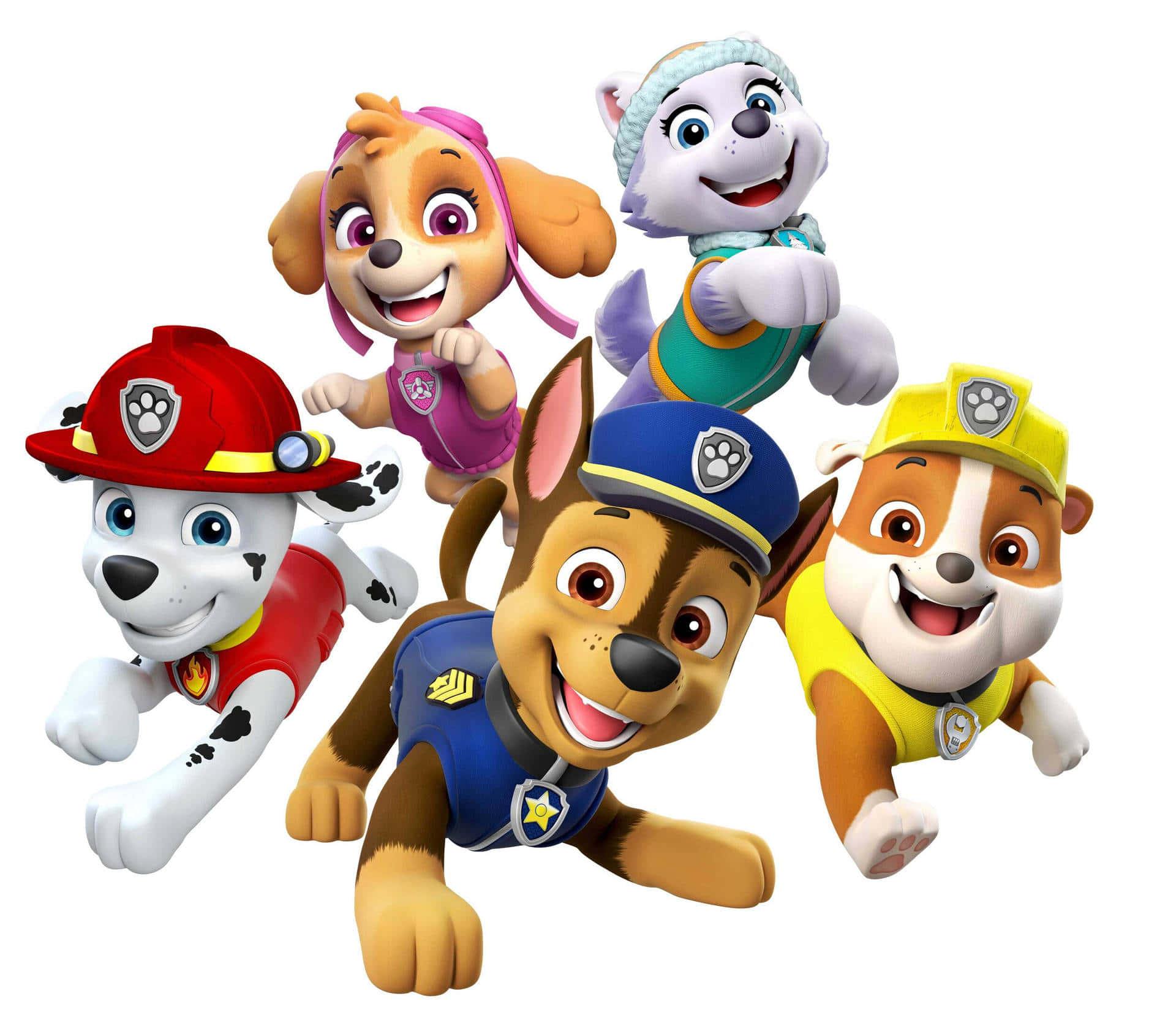 Join the fun with the Paw Patrol Pups! — 1920x1675 wallpaper