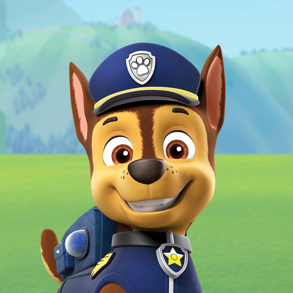 Join the paw-some adventures of the Paw Patrol! — 1000x1000 wallpaper
