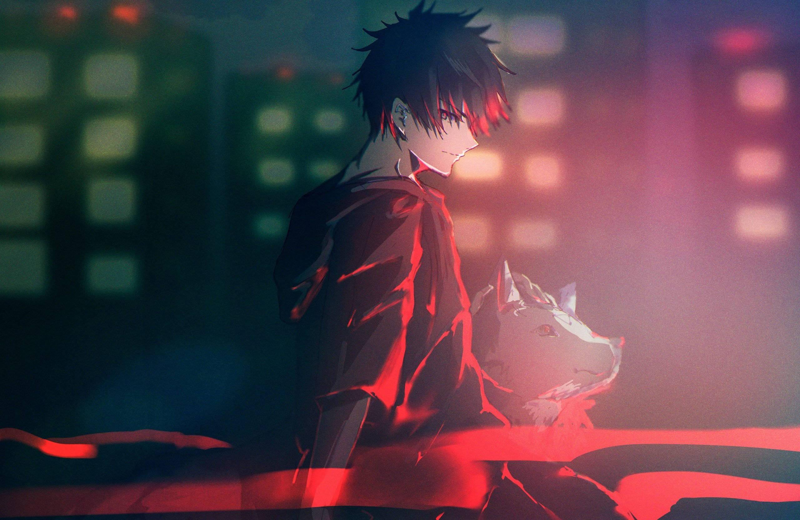 Jujutsu Kaisen Megumi Fushiguro For Boys — 2560x1664 wallpaper