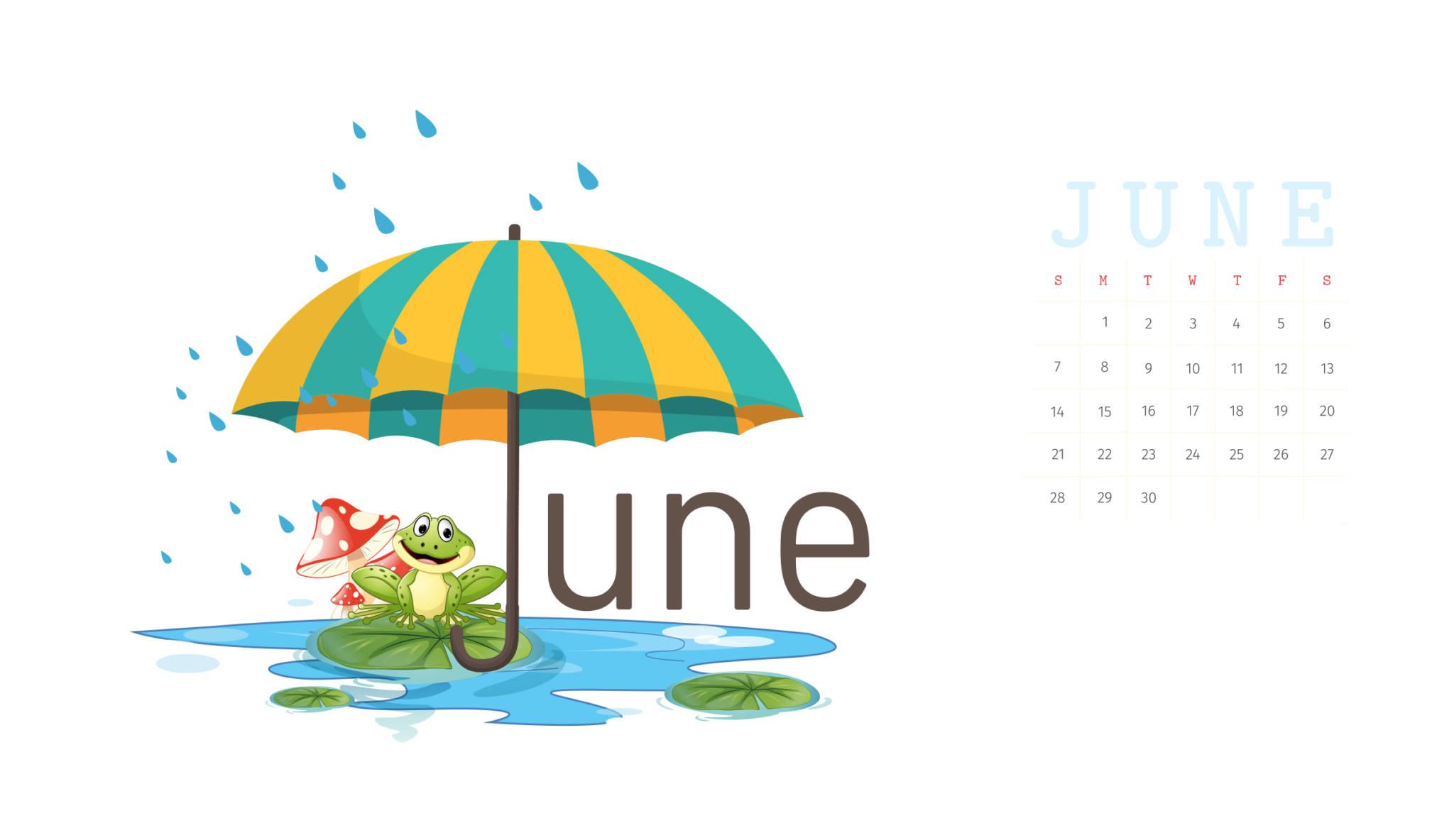 June 2021: The perfect way to stay dry in the rain — 2048x1184 wallpaper