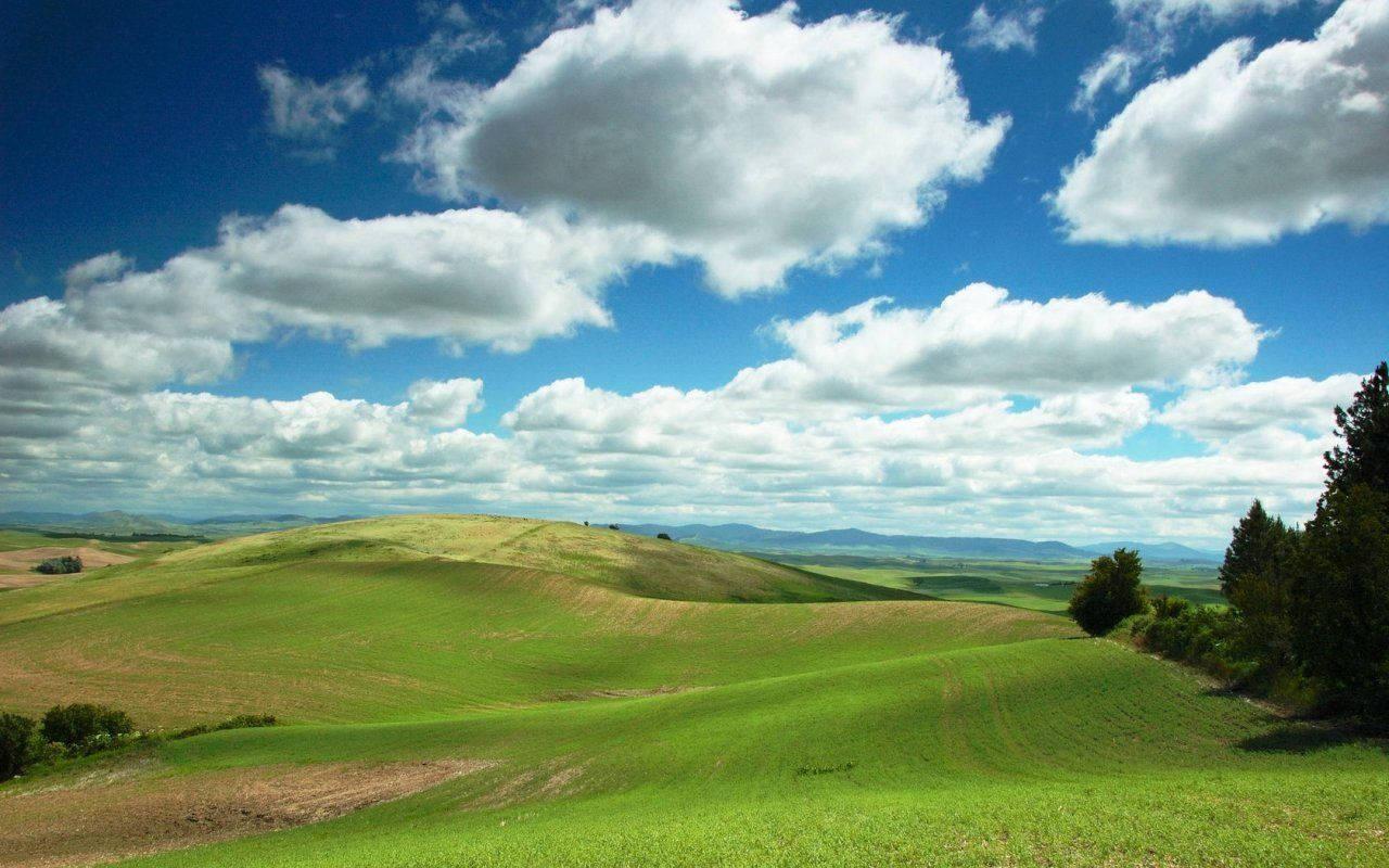 Keep It Fresh with Windows XP — 1280x800 wallpaper