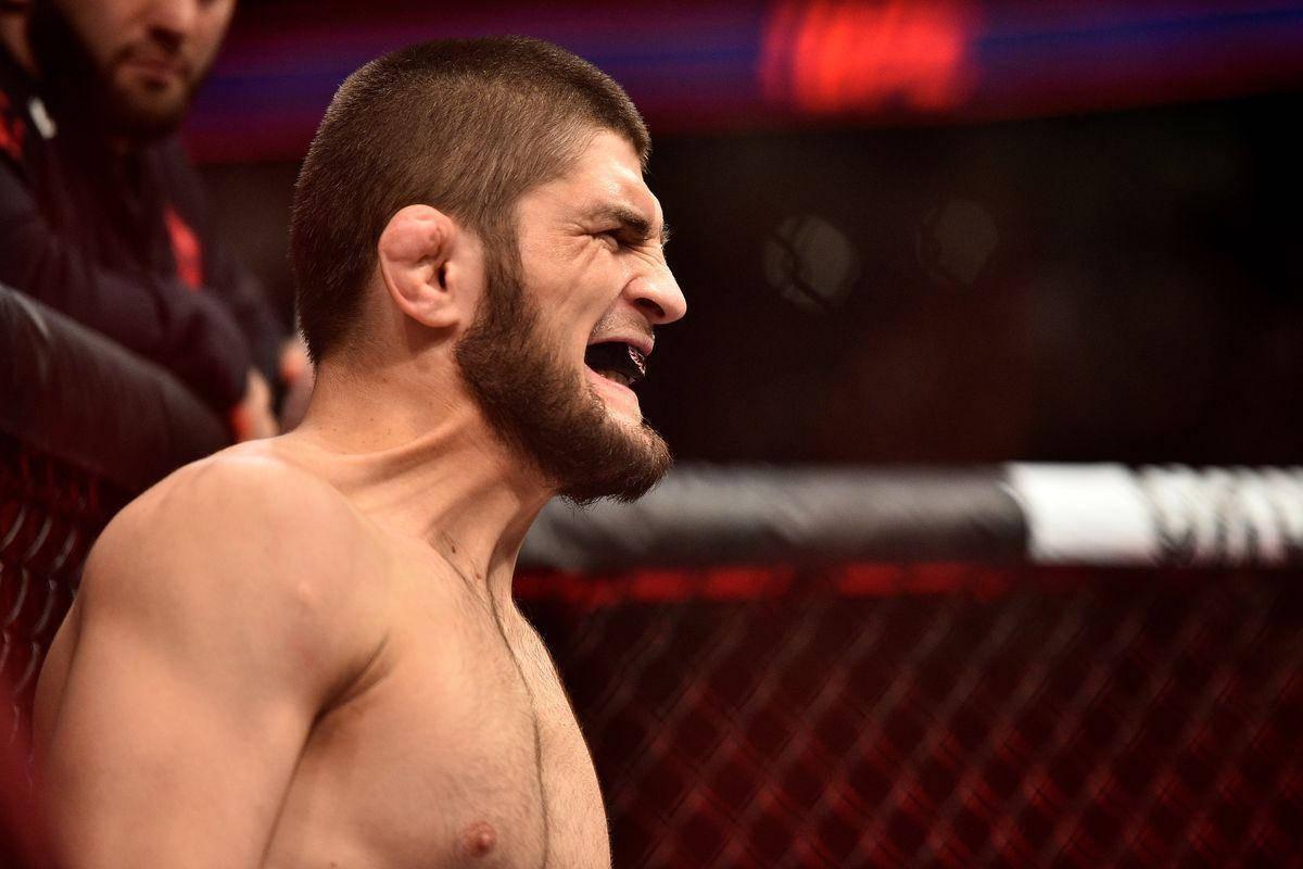 Khabib Nurmagomedov Angry — 1200x800 wallpaper