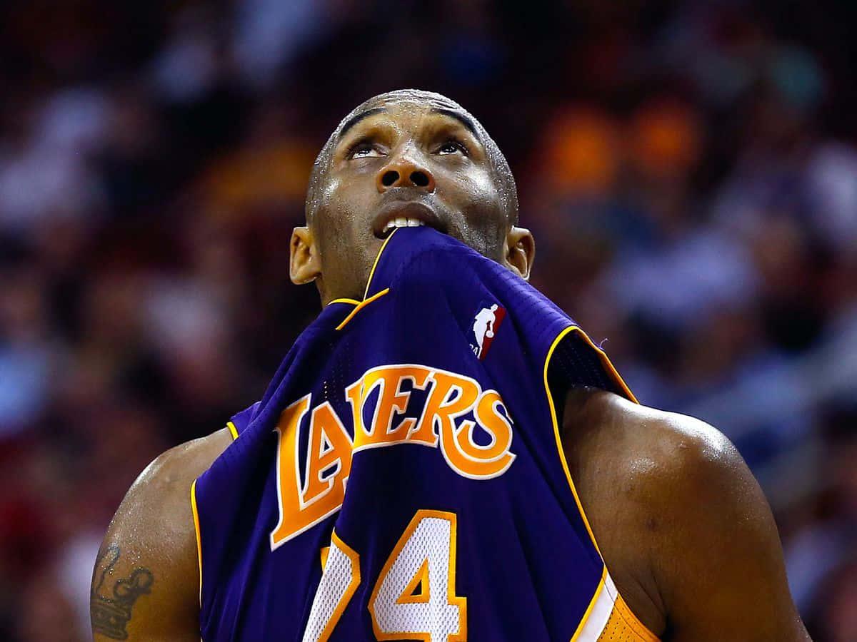 Kobe Bryant pictures — 1200x900 wallpaper