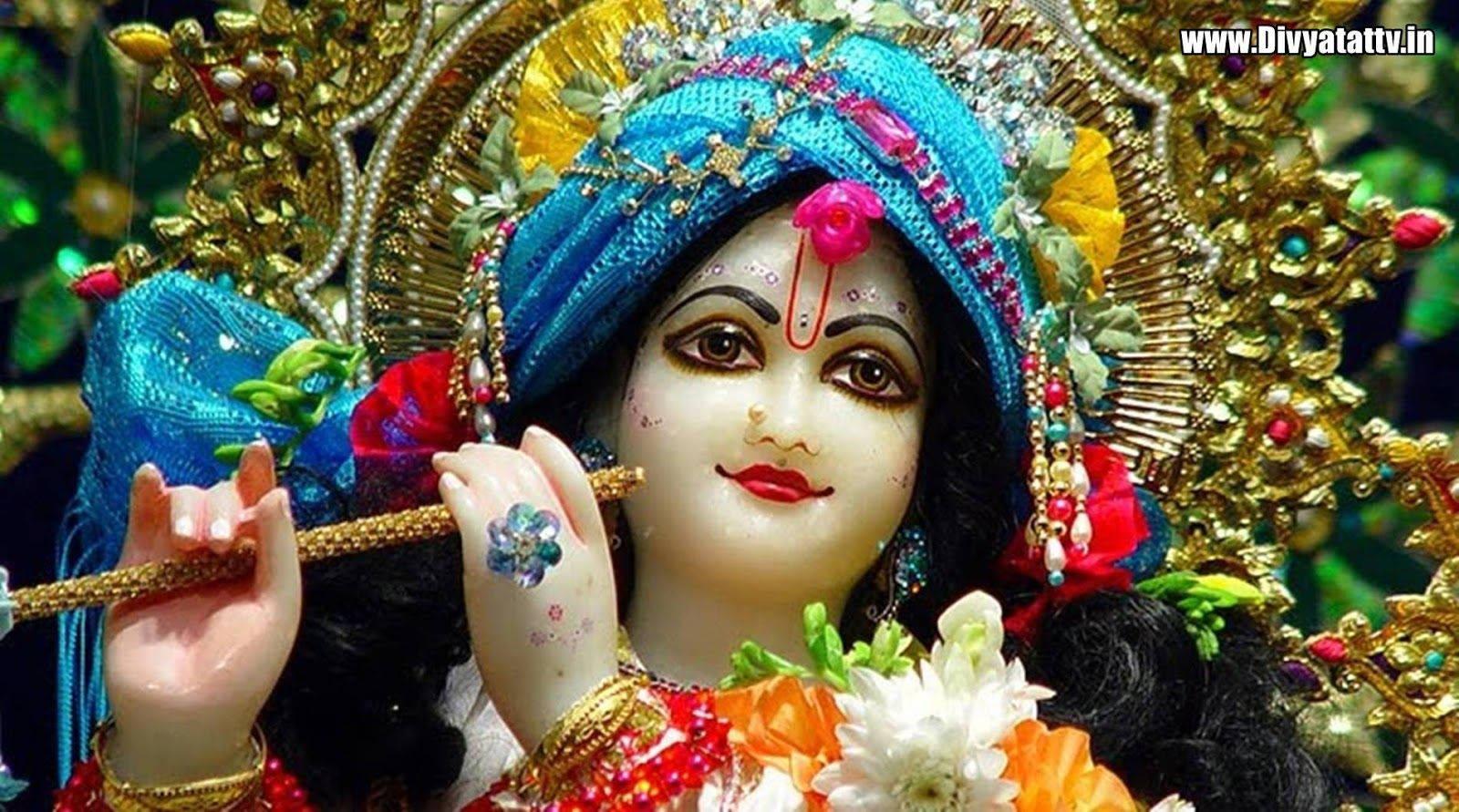 Krishna Member Of Dashavatar