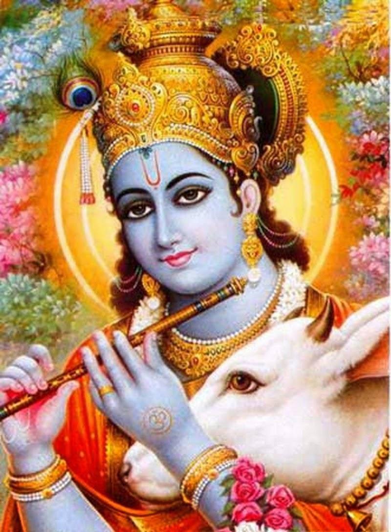 Krishna Phone With Cow — 800x1088 wallpaper