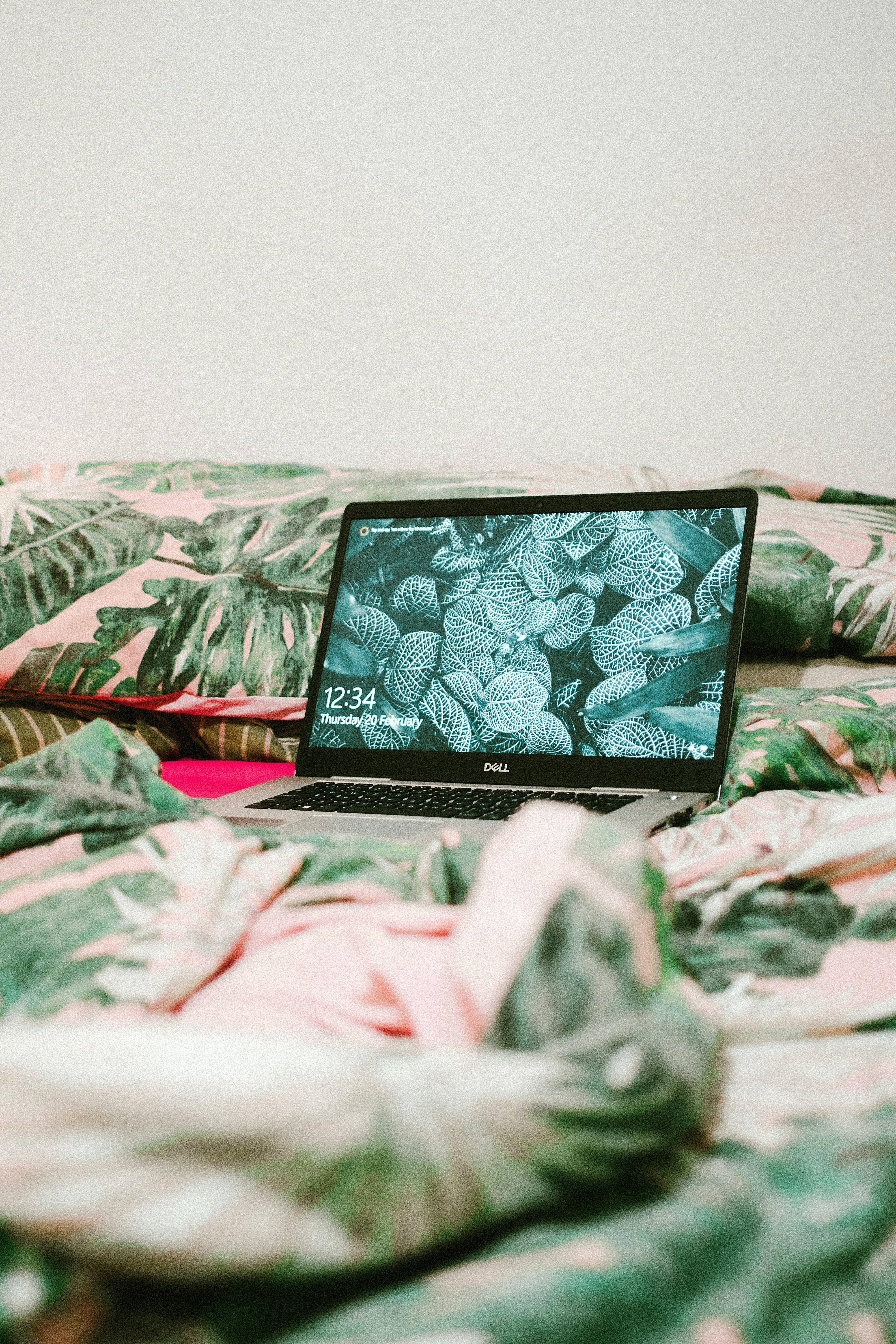 Laptop On Leaf Designed Bed — 4000x6000 wallpaper