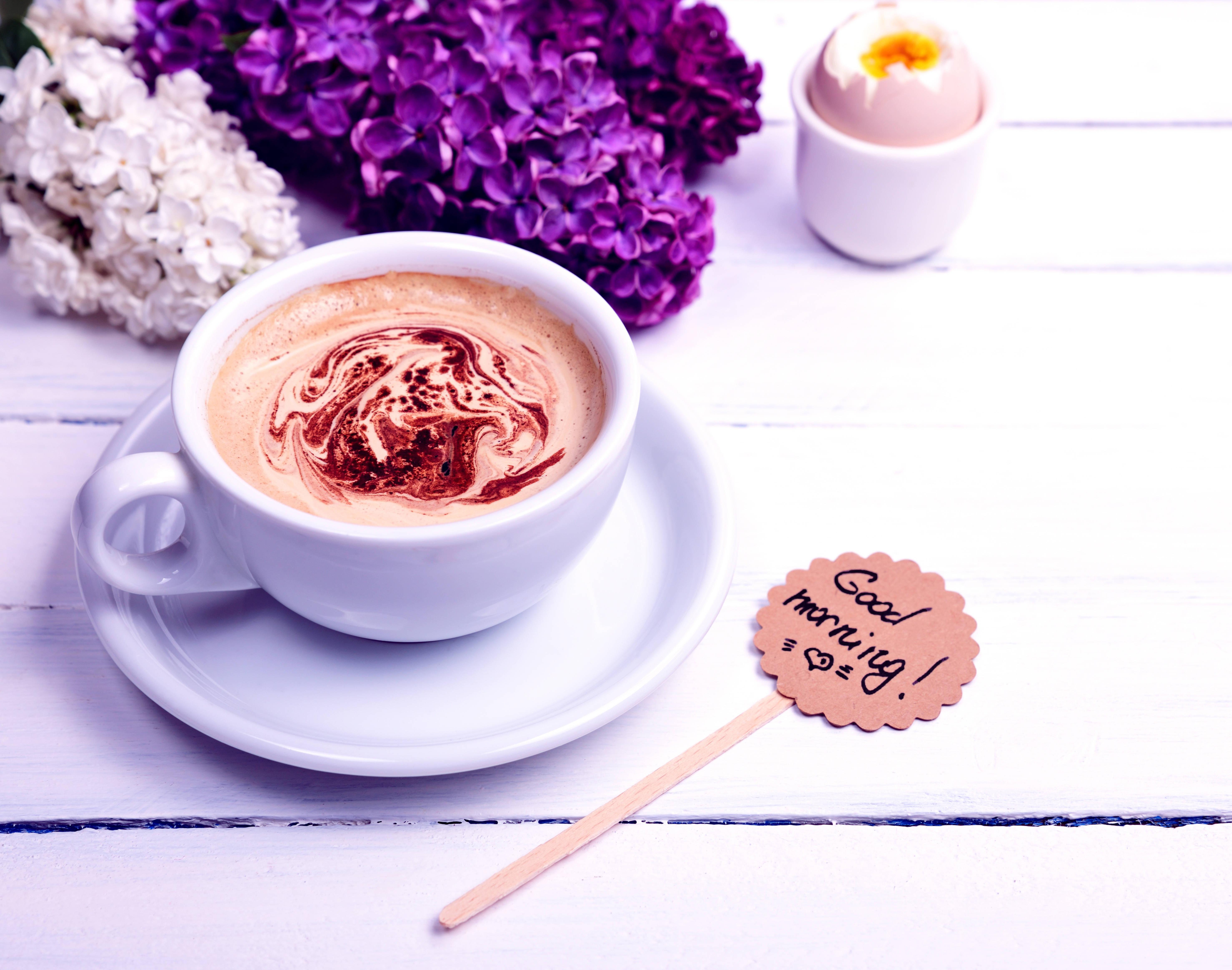 Latte And Lilac Good Morning — 5910x4655 wallpaper