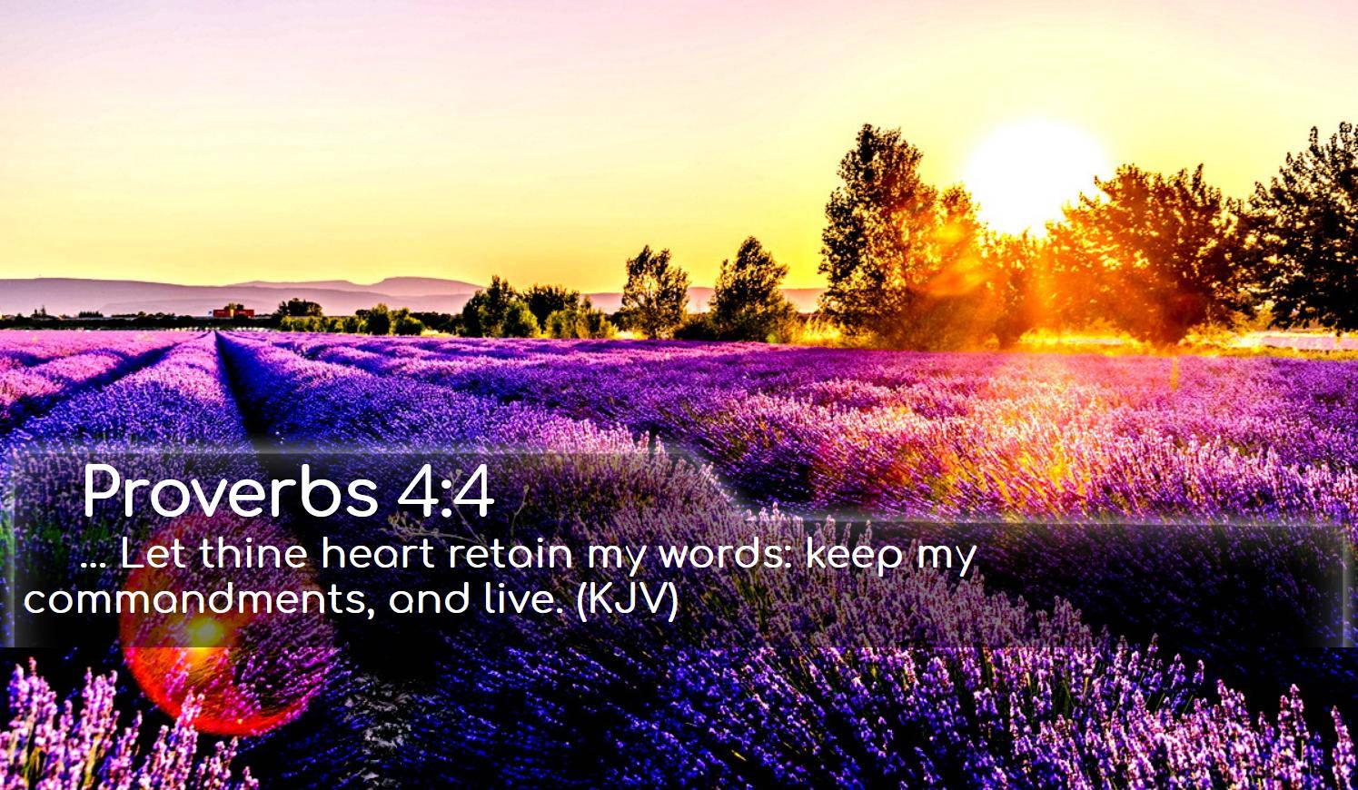 Leaving your worries behind, Psalm 55:22 — 1495x870 wallpaper