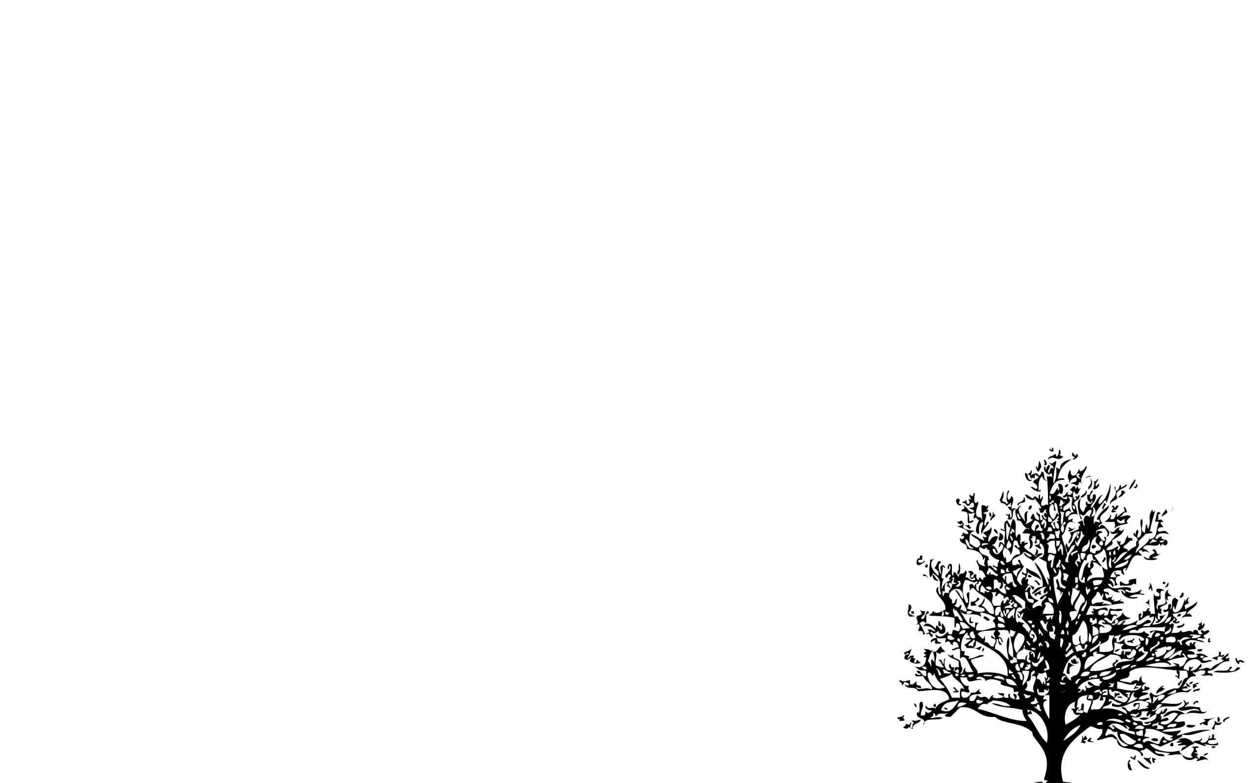 Let the white aesthetic in your life fill it with joy — 2560x1600 wallpaper