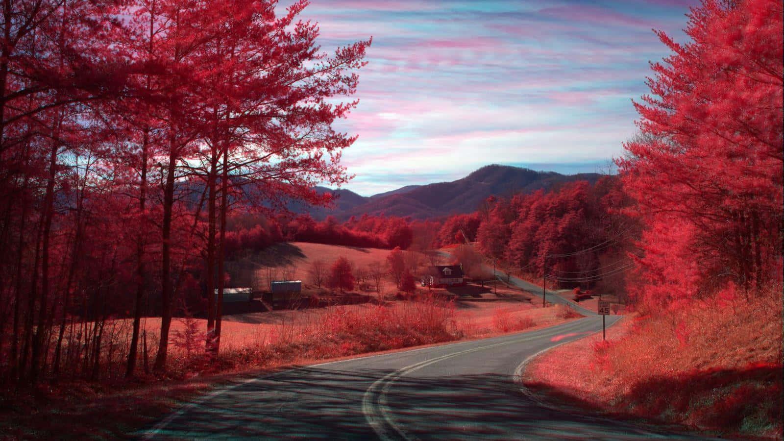 Let's enjoy the beautiful fall season! — 1600x900 wallpaper