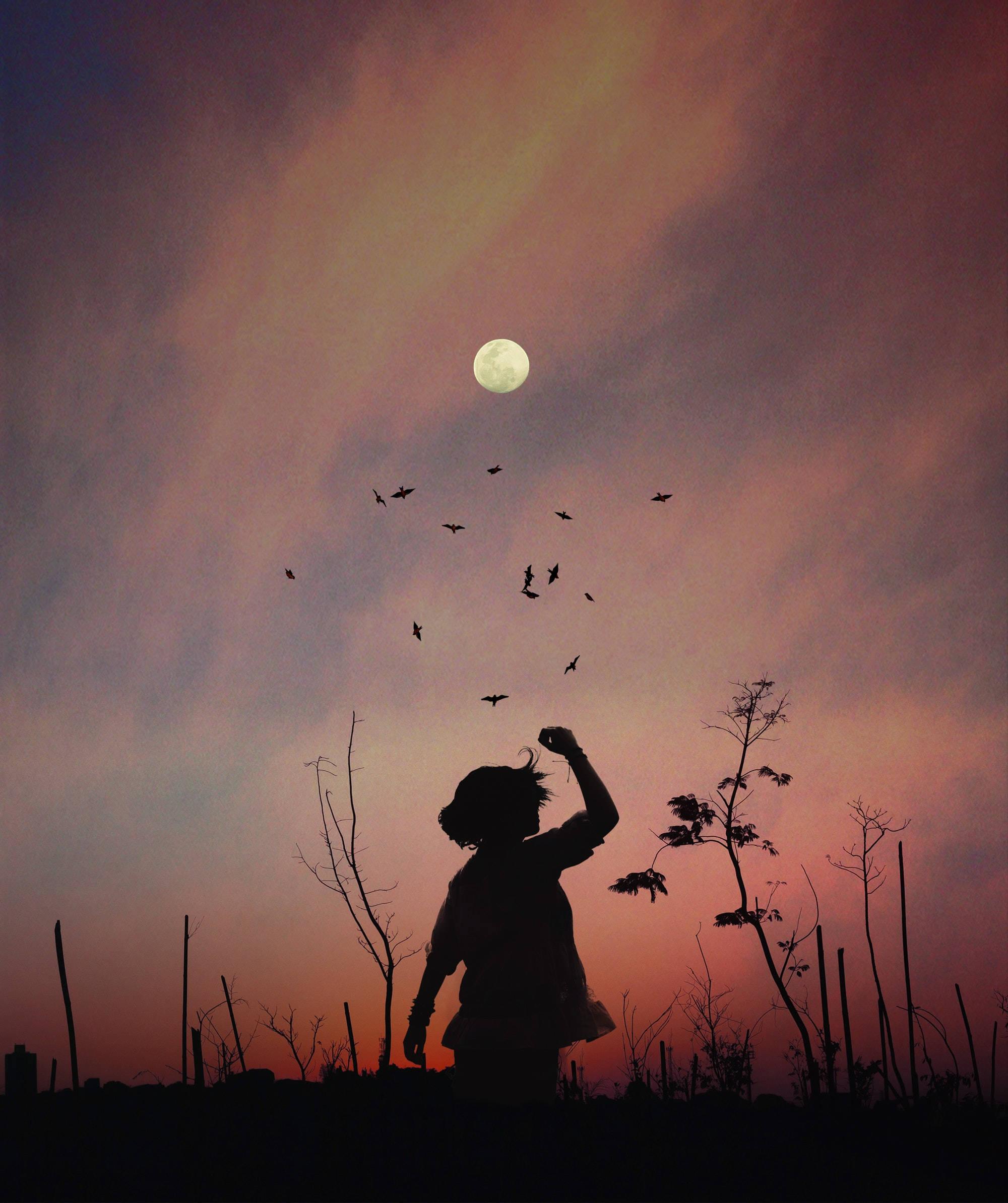 Letting go of the day with a sunset sky — 2000x2388 wallpaper