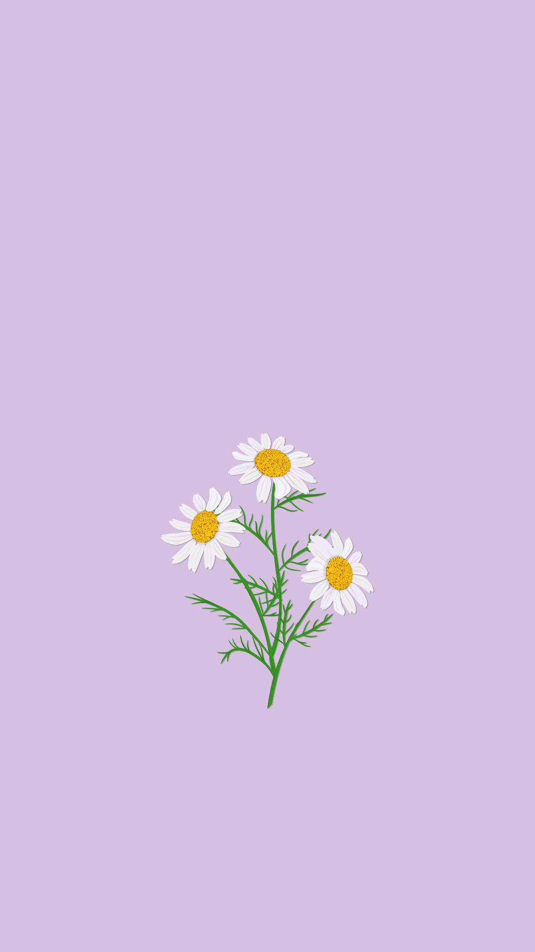 Light Purple Aesthetic Chamomile Flowers — 1080x1920 wallpaper